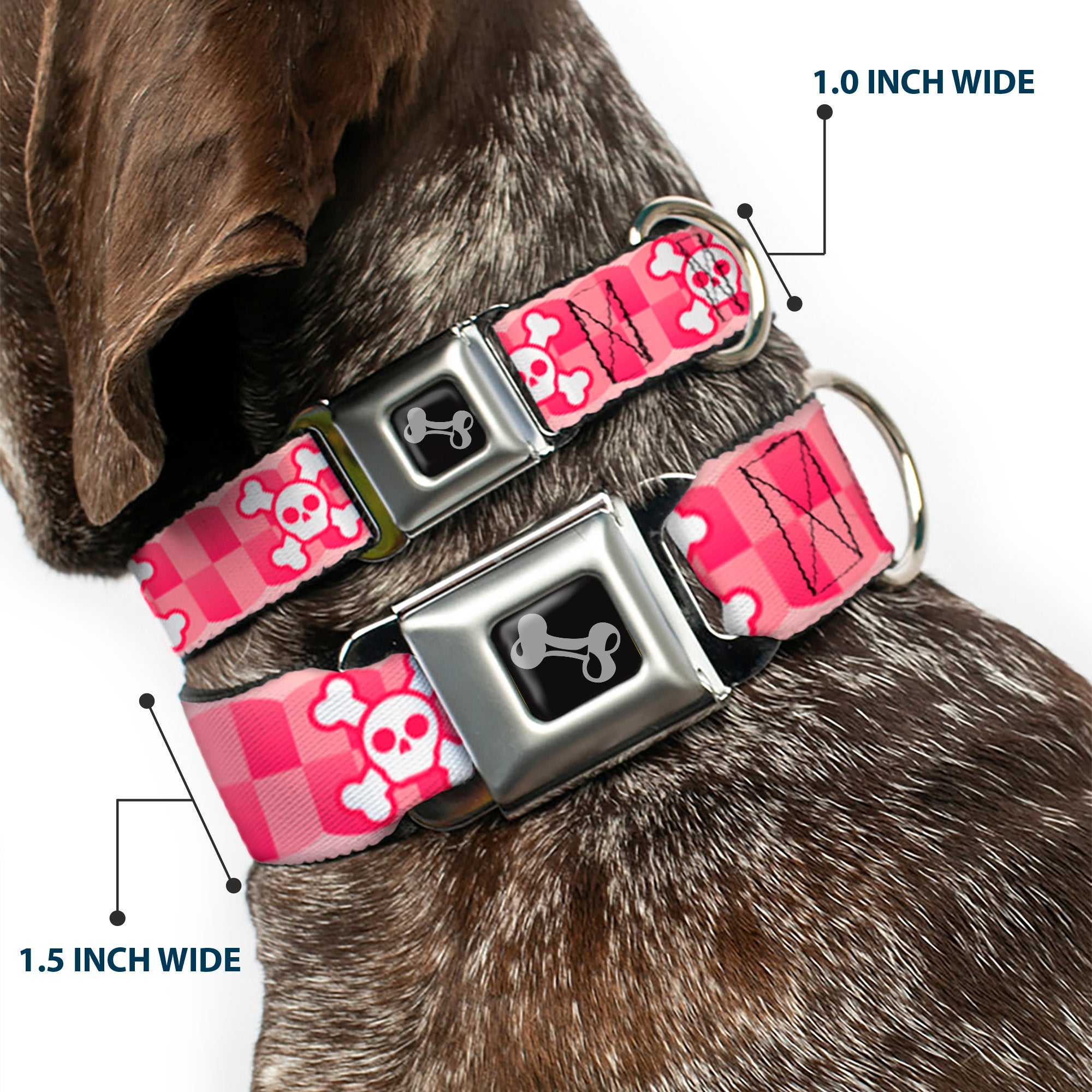 Dog Bone Seatbelt Buckle Collar - Cute Skulls w/Checkers Pinks/White Seatbelt Buckle Collars Buckle-Down
