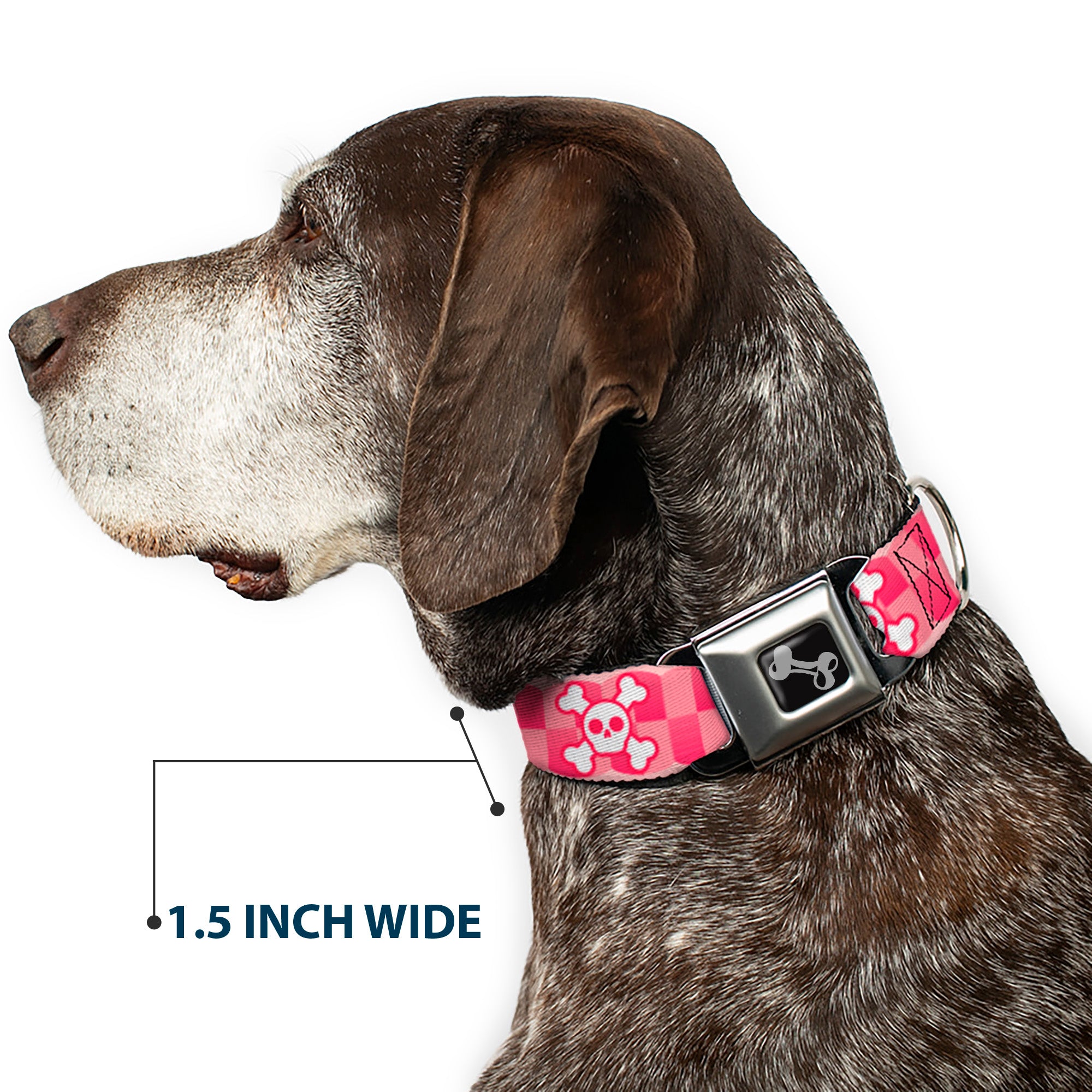 Dog Bone Seatbelt Buckle Collar - Cute Skulls w/Checkers Pinks/White Seatbelt Buckle Collars Buckle-Down