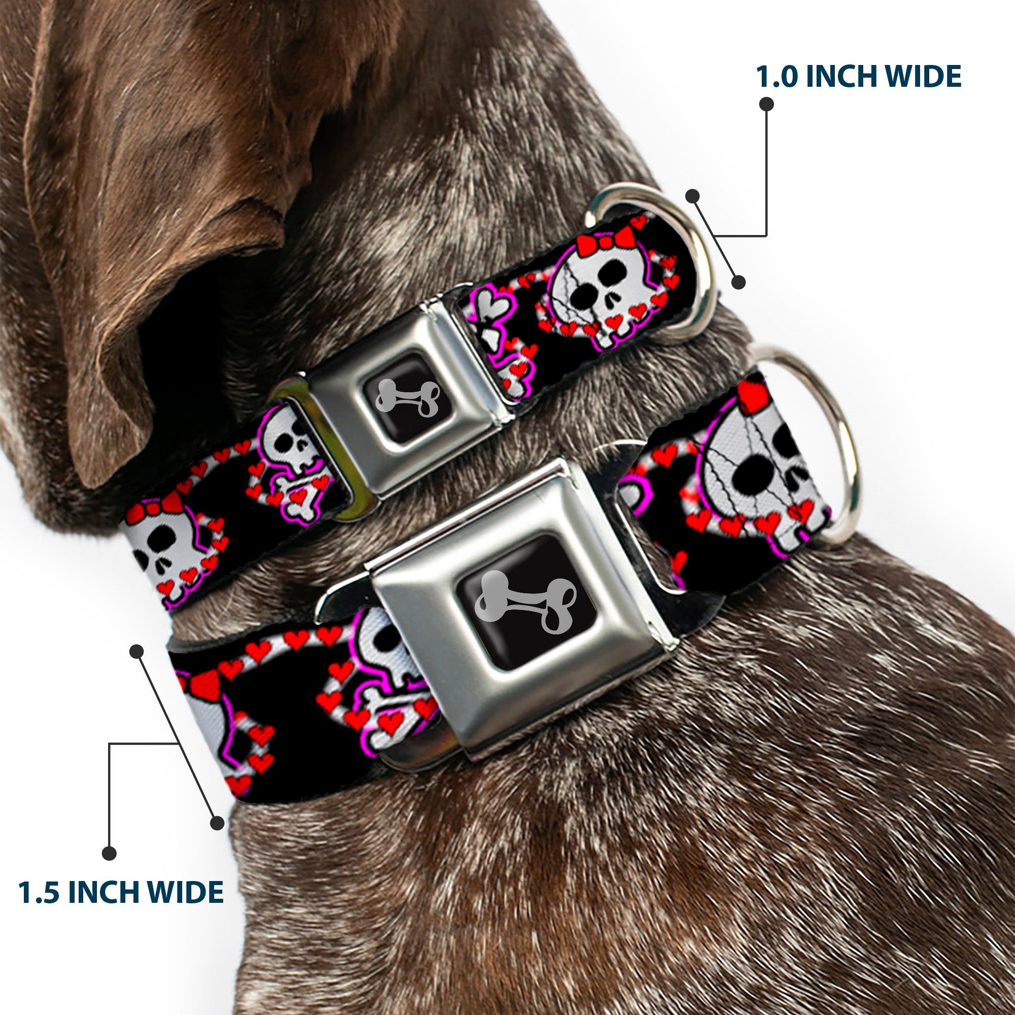 Dog Bone Seatbelt Buckle Collar - Cute Skulls w/Hearts Seatbelt Buckle Collars Buckle-Down