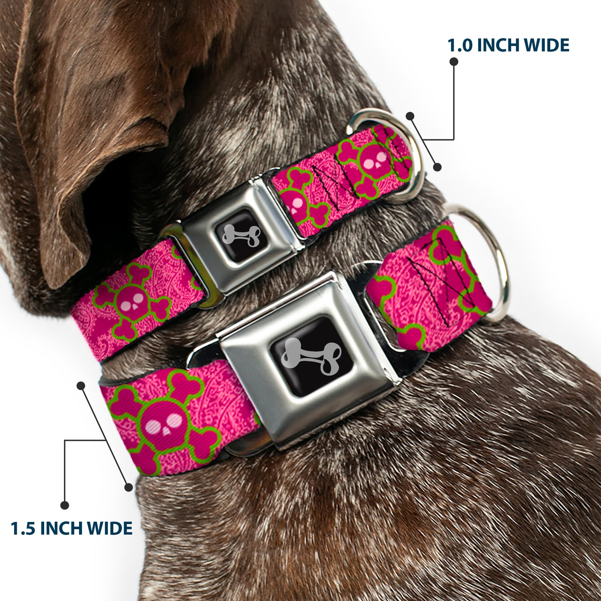 Dog Bone Seatbelt Buckle Collar - Cute Skulls w/Paisley Purple/Pink/Green Seatbelt Buckle Collars Buckle-Down