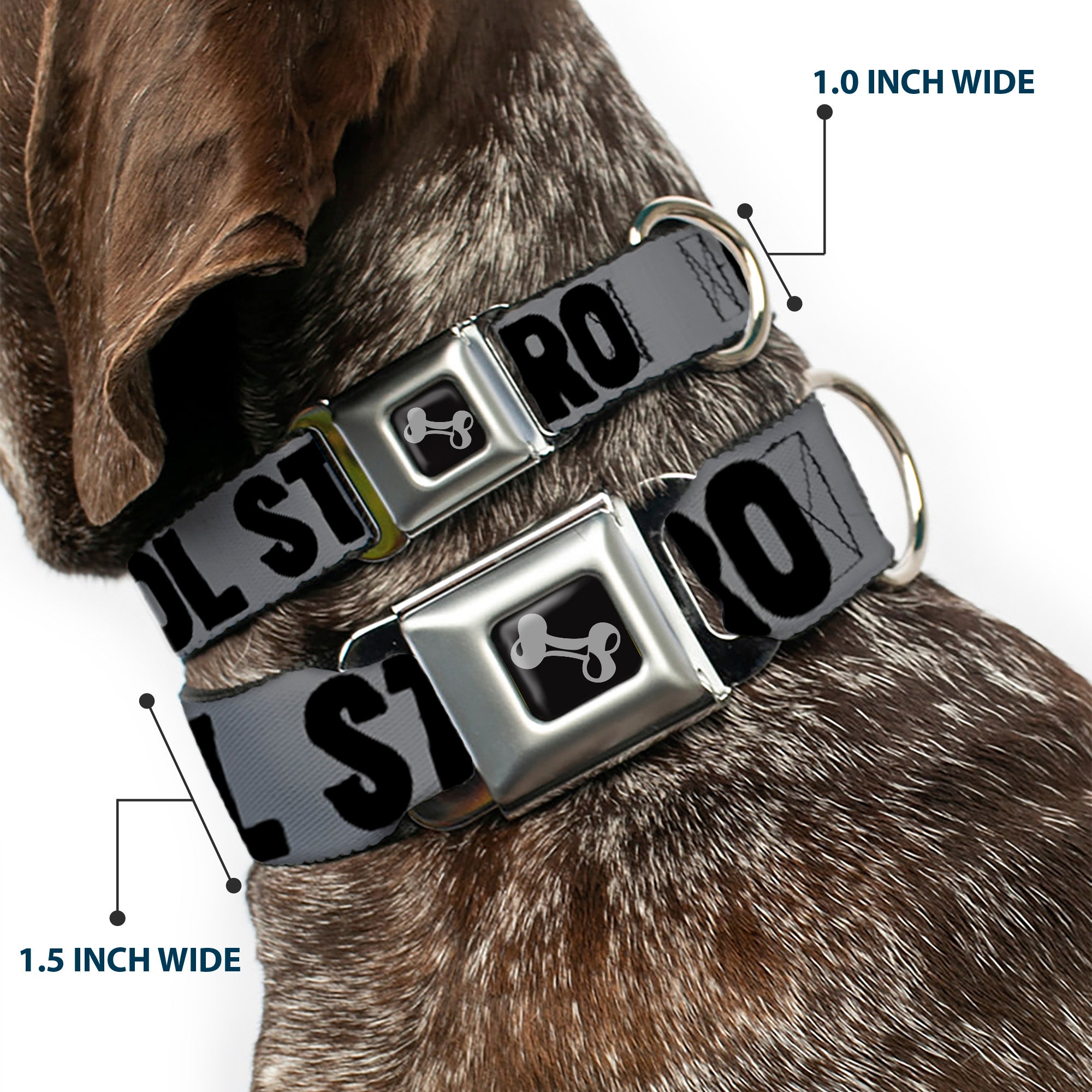 Dog Bone Seatbelt Buckle Collar - COOL STORY BRO Gray/Black Seatbelt Buckle Collars Buckle-Down