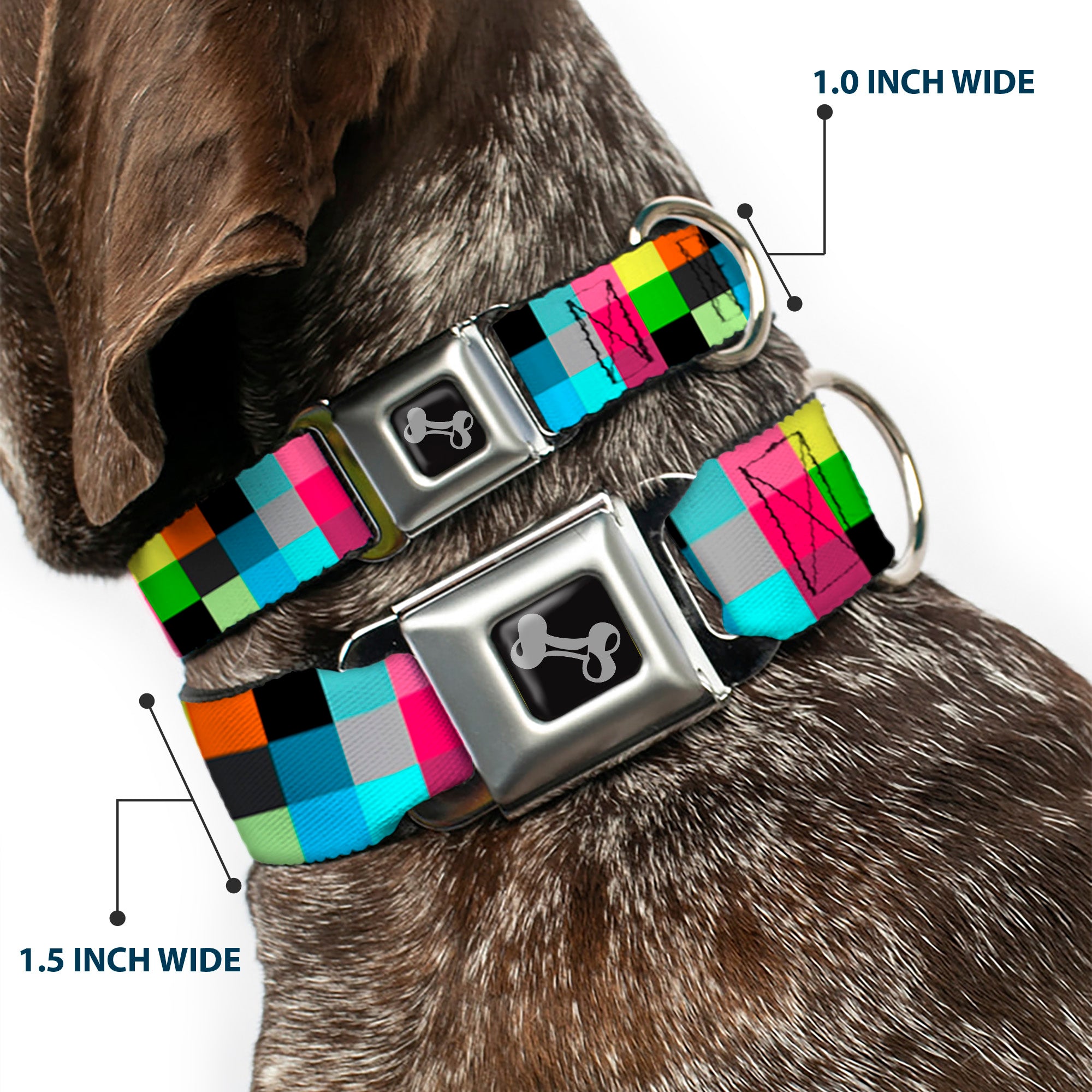 Dog Bone Seatbelt Buckle Collar - Checker Bright Pastel Seatbelt Buckle Collars Buckle-Down