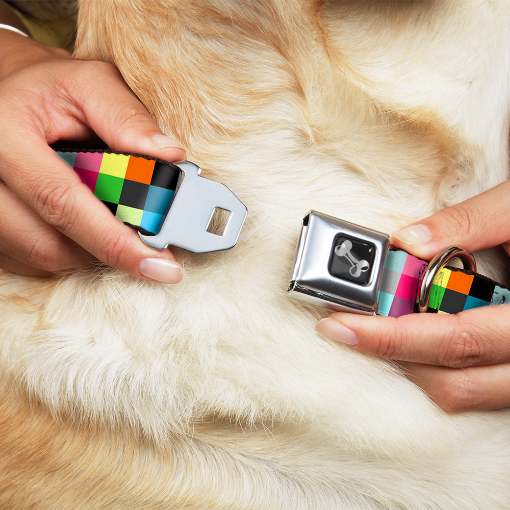 Dog Bone Seatbelt Buckle Collar - Checker Bright Pastel Seatbelt Buckle Collars Buckle-Down