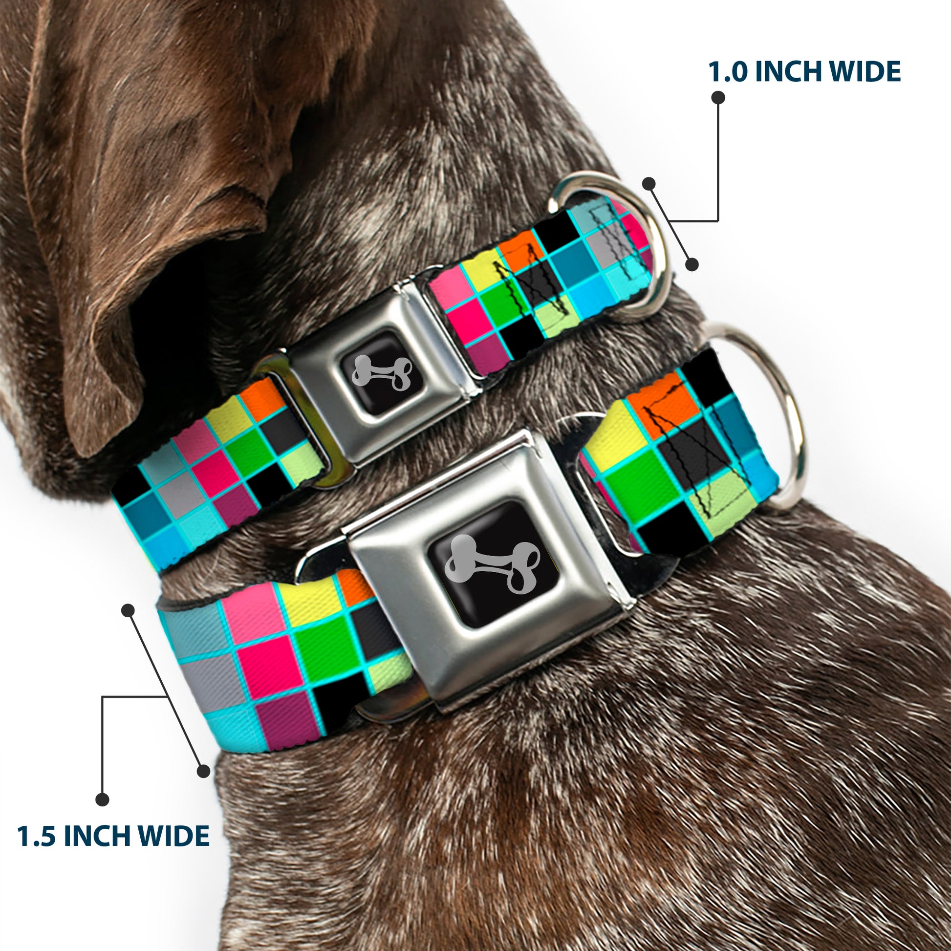 Dog Bone Seatbelt Buckle Collar - Checker Bright Pastel w/Outline Seatbelt Buckle Collars Buckle-Down