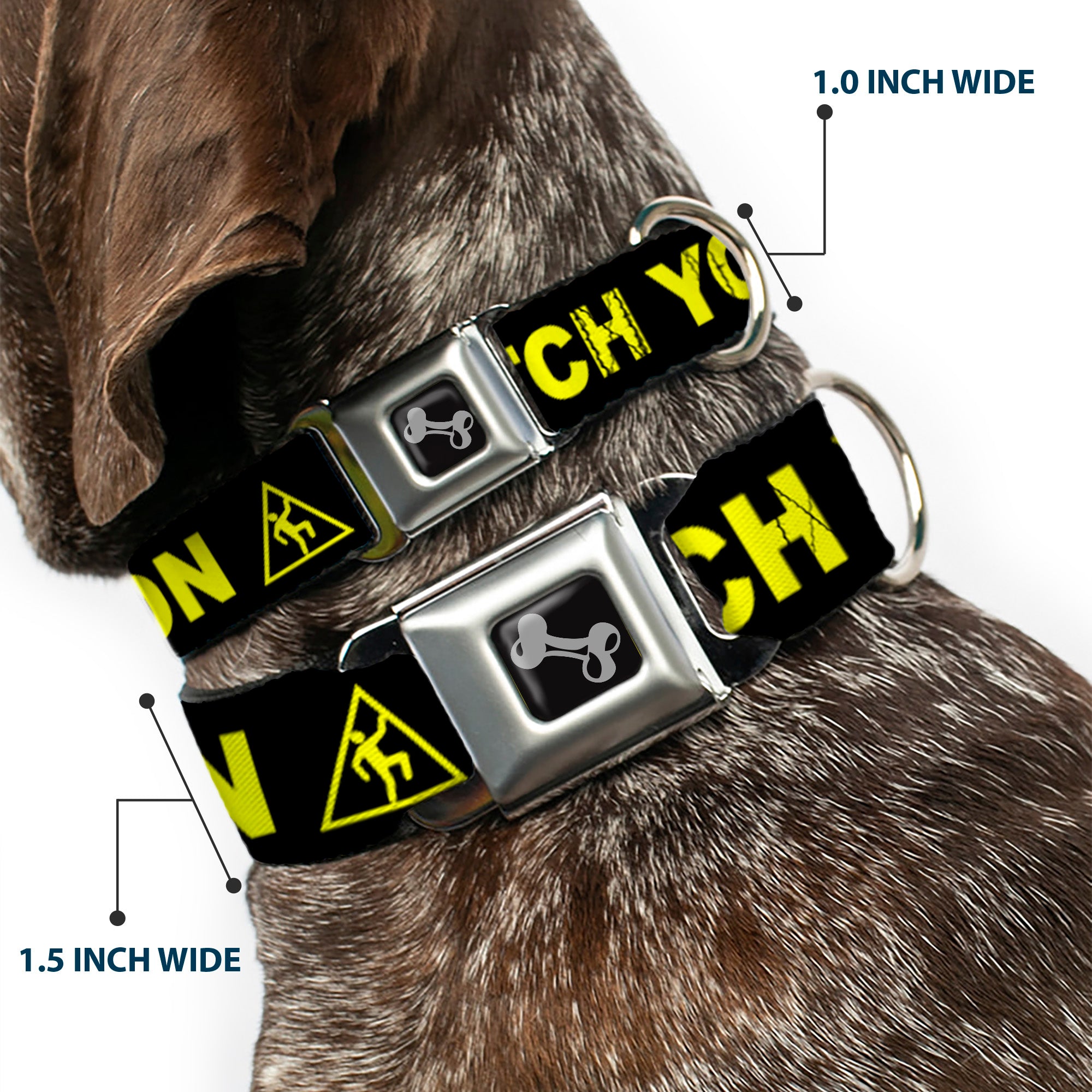 Dog Bone Seatbelt Buckle Collar - CAUTION WATCH YOUR DUBSTEP Black/Yellow Seatbelt Buckle Collars Buckle-Down