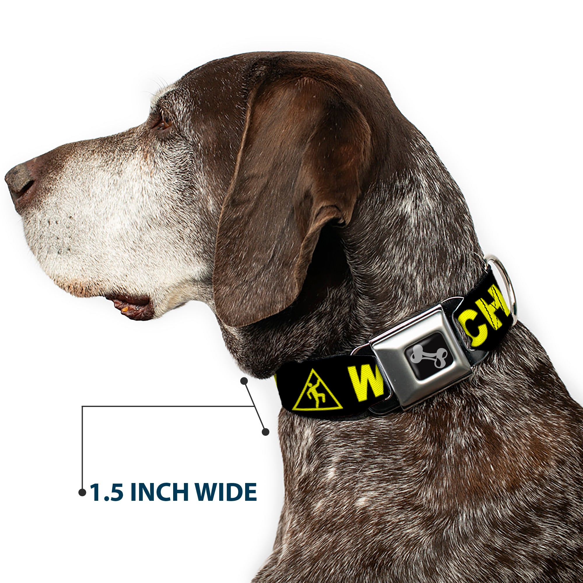 Dog Bone Seatbelt Buckle Collar - CAUTION WATCH YOUR DUBSTEP Black/Yellow Seatbelt Buckle Collars Buckle-Down