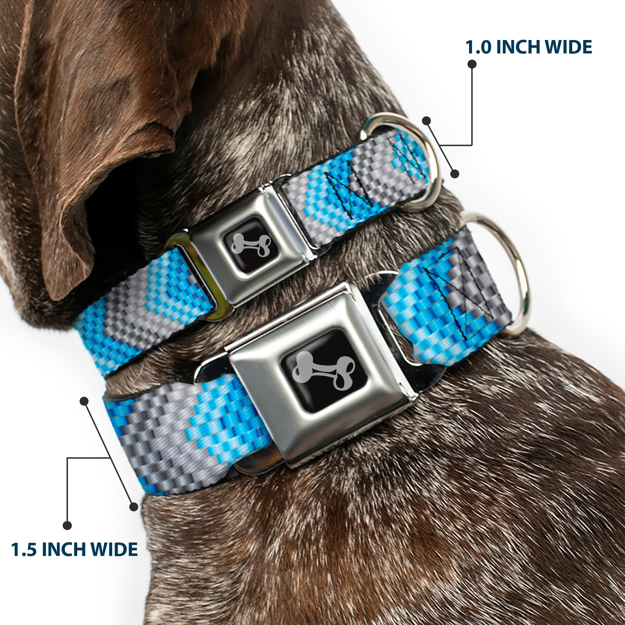 Dog Bone Seatbelt Buckle Collar - Chevron Weave Grays/Blues Seatbelt Buckle Collars Buckle-Down