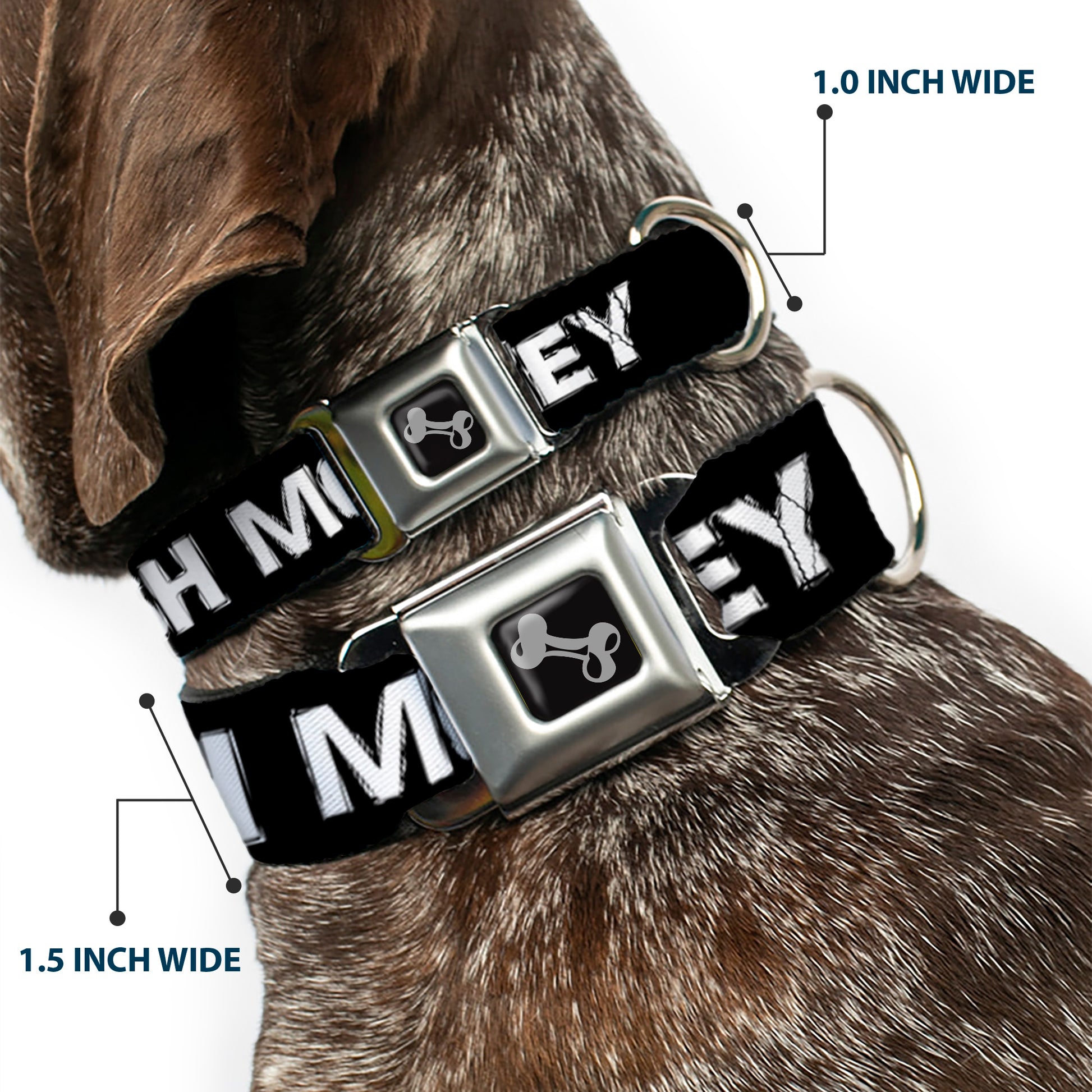 Dog Bone Seatbelt Buckle Collar - CA$H MONEY Black/White Seatbelt Buckle Collars Buckle-Down