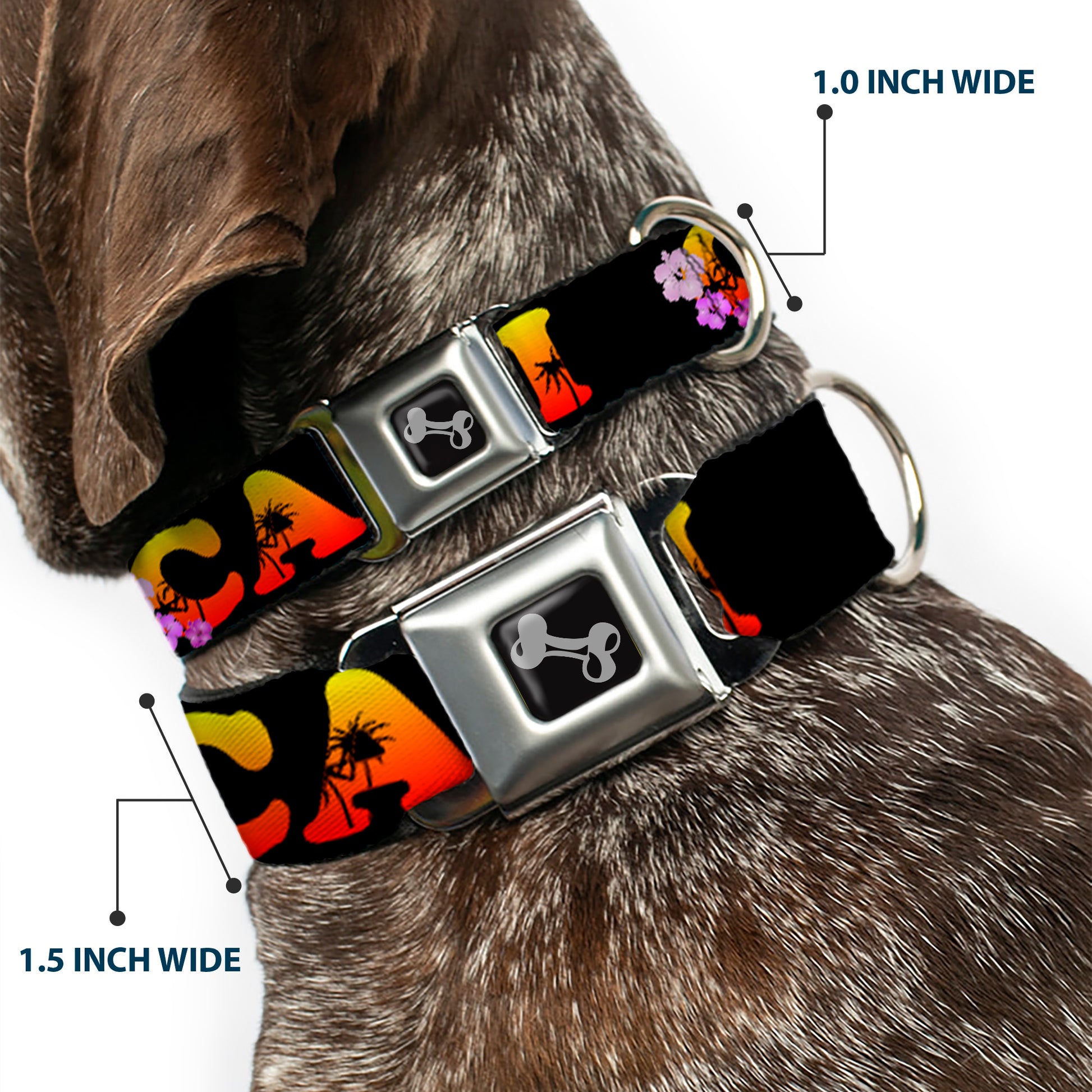 Dog Bone Seatbelt Buckle Collar - CALI Tropical Black/Multi Color Seatbelt Buckle Collars Buckle-Down