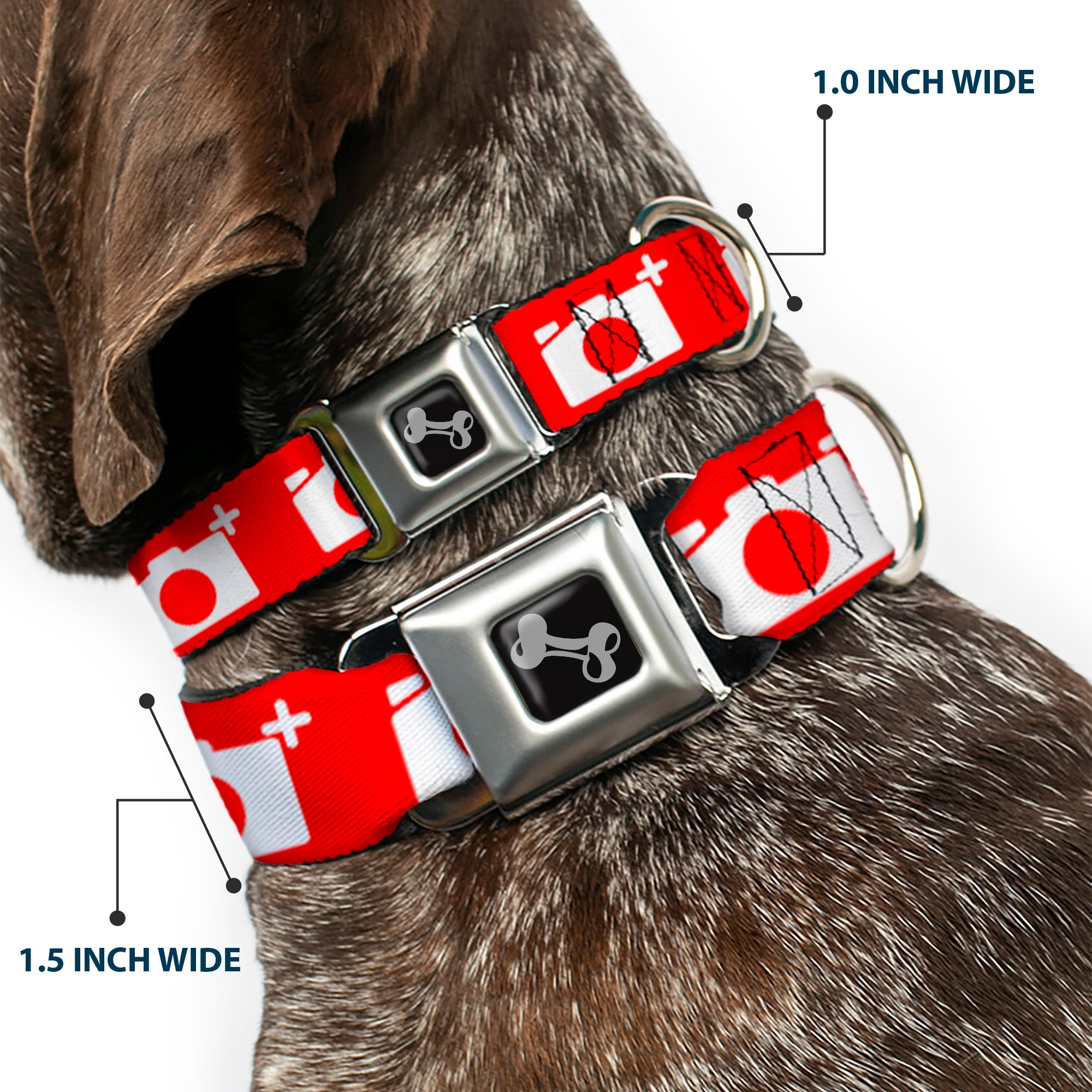 Dog Bone Seatbelt Buckle Collar - Camera Red/White Seatbelt Buckle Collars Buckle-Down