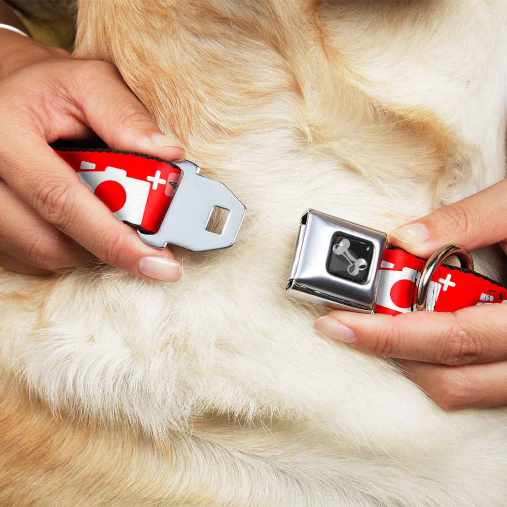 Dog Bone Seatbelt Buckle Collar - Camera Red/White Seatbelt Buckle Collars Buckle-Down