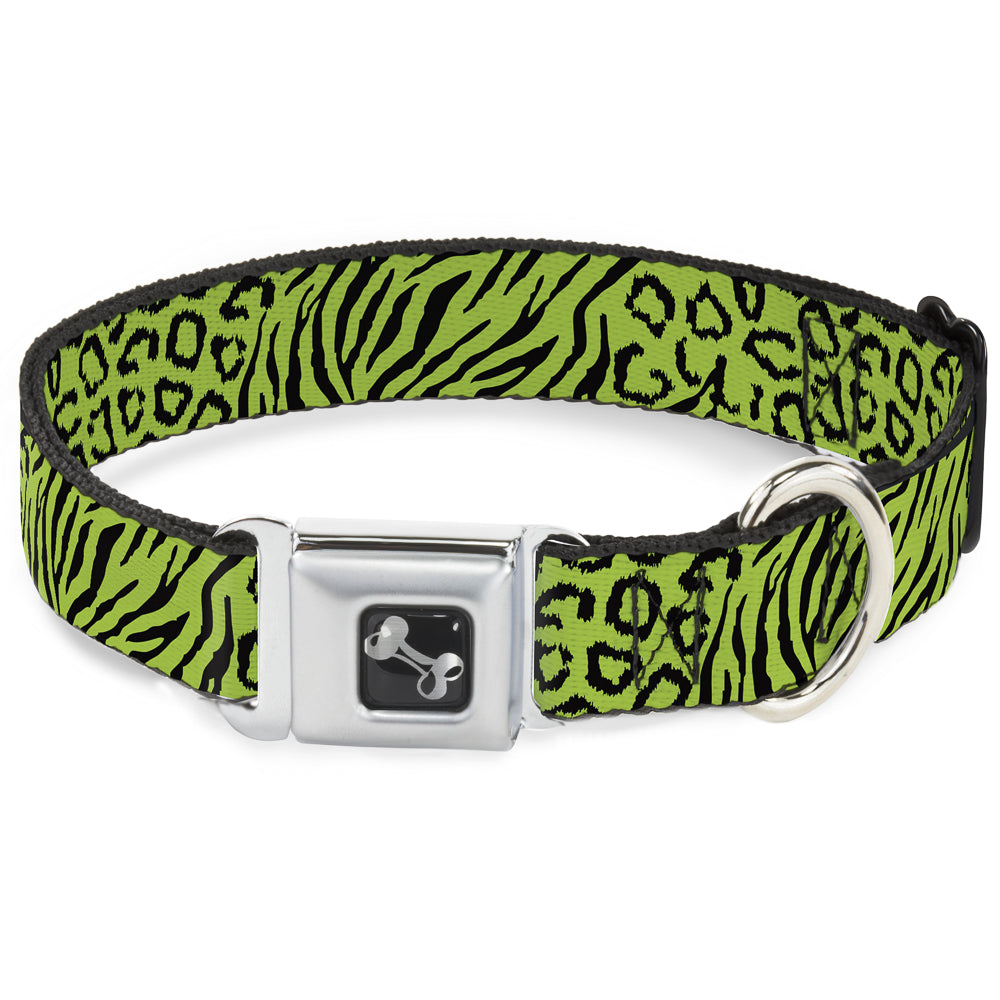 Dog Bone Seatbelt Buckle Collar - Cheebra Green/Black Seatbelt Buckle Collars Buckle-Down