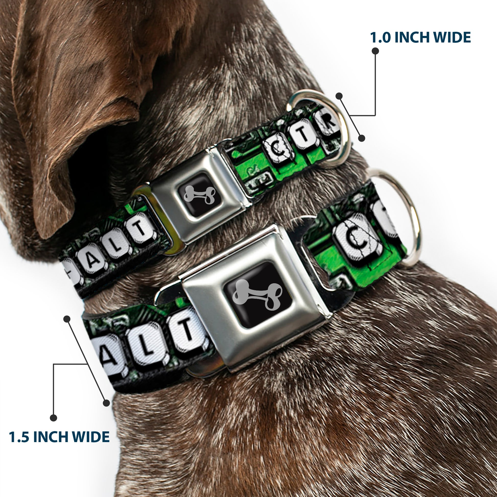 Dog Bone Seatbelt Buckle Collar - CTRL+ALT+DEL Chip Seatbelt Buckle Collars Buckle-Down