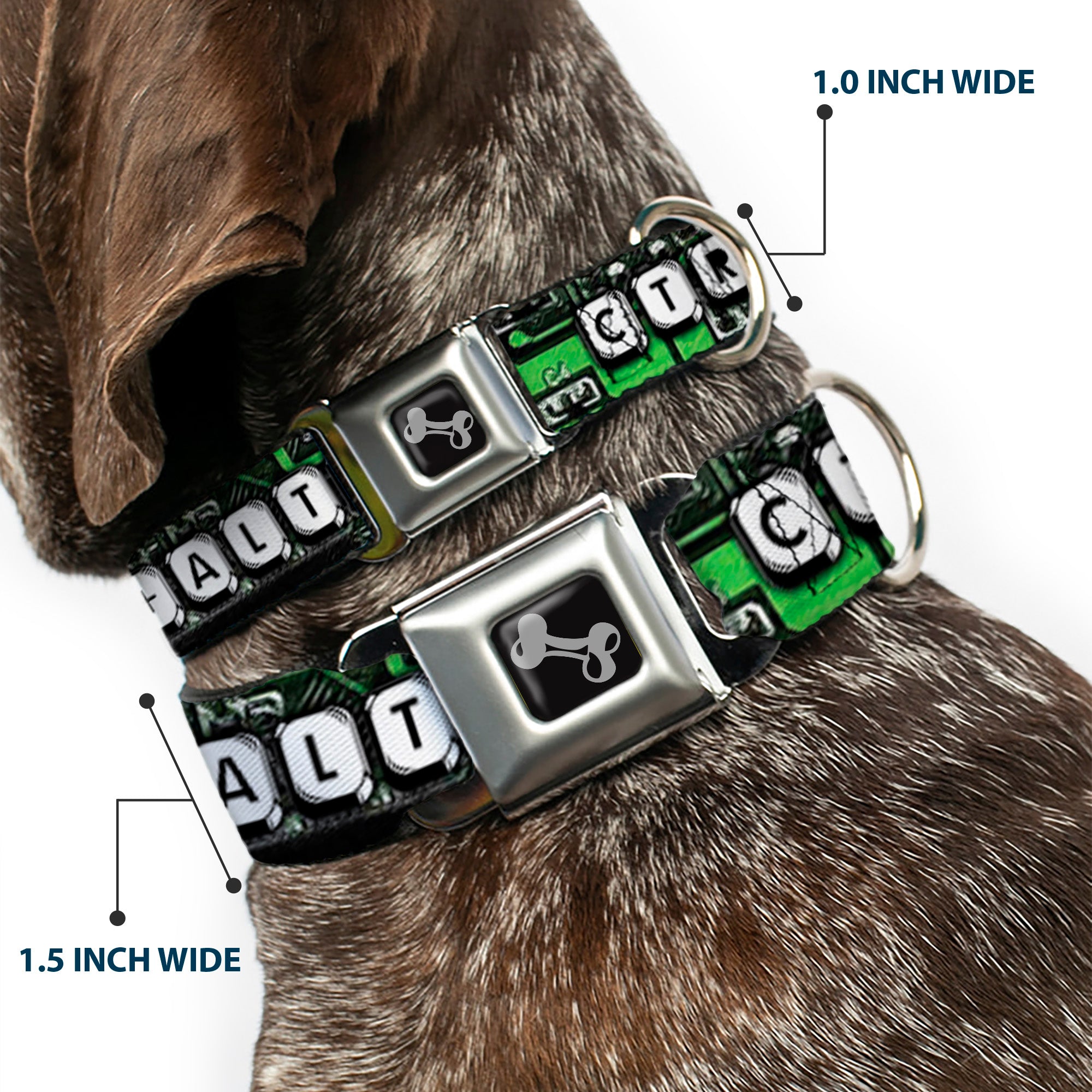 Dog Bone Seatbelt Buckle Collar - CTRL+ALT+DEL Chip Seatbelt Buckle Collars Buckle-Down