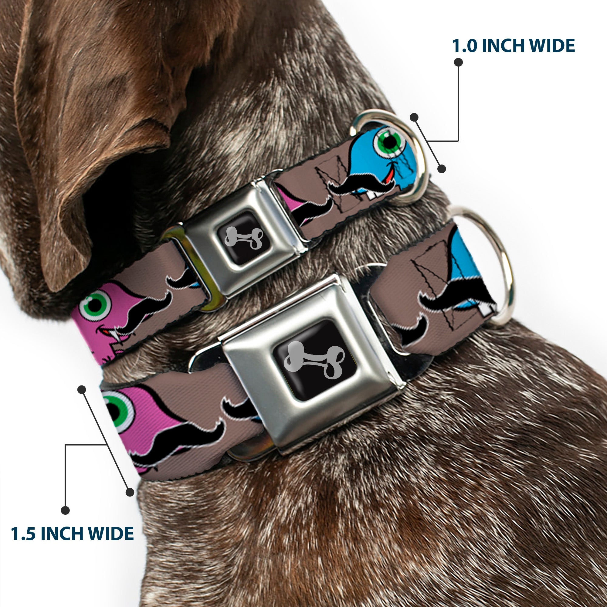 Dog Bone Seatbelt Buckle Collar - Cute Dinosaurs w/Mustaches Gray Seatbelt Buckle Collars Buckle-Down