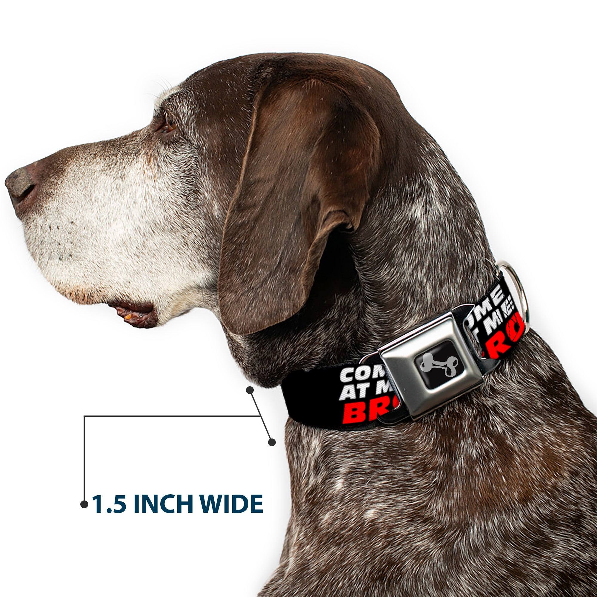 Dog Bone Seatbelt Buckle Collar - COME-AT ME-BRO Black/White/Red Seatbelt Buckle Collars Buckle-Down