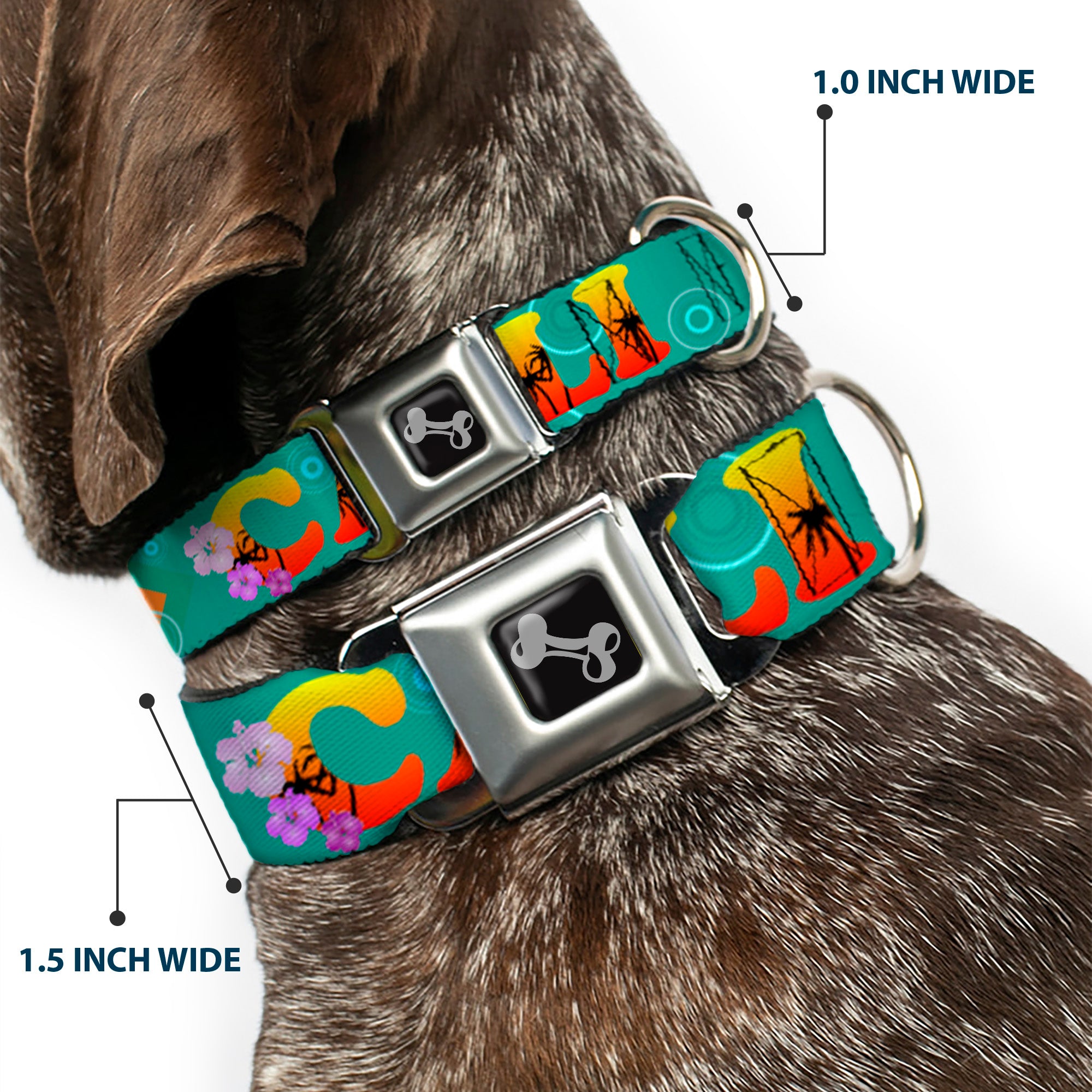 Dog Bone Seatbelt Buckle Collar - CALI Tropical Aqua/Multi Color Seatbelt Buckle Collars Buckle-Down