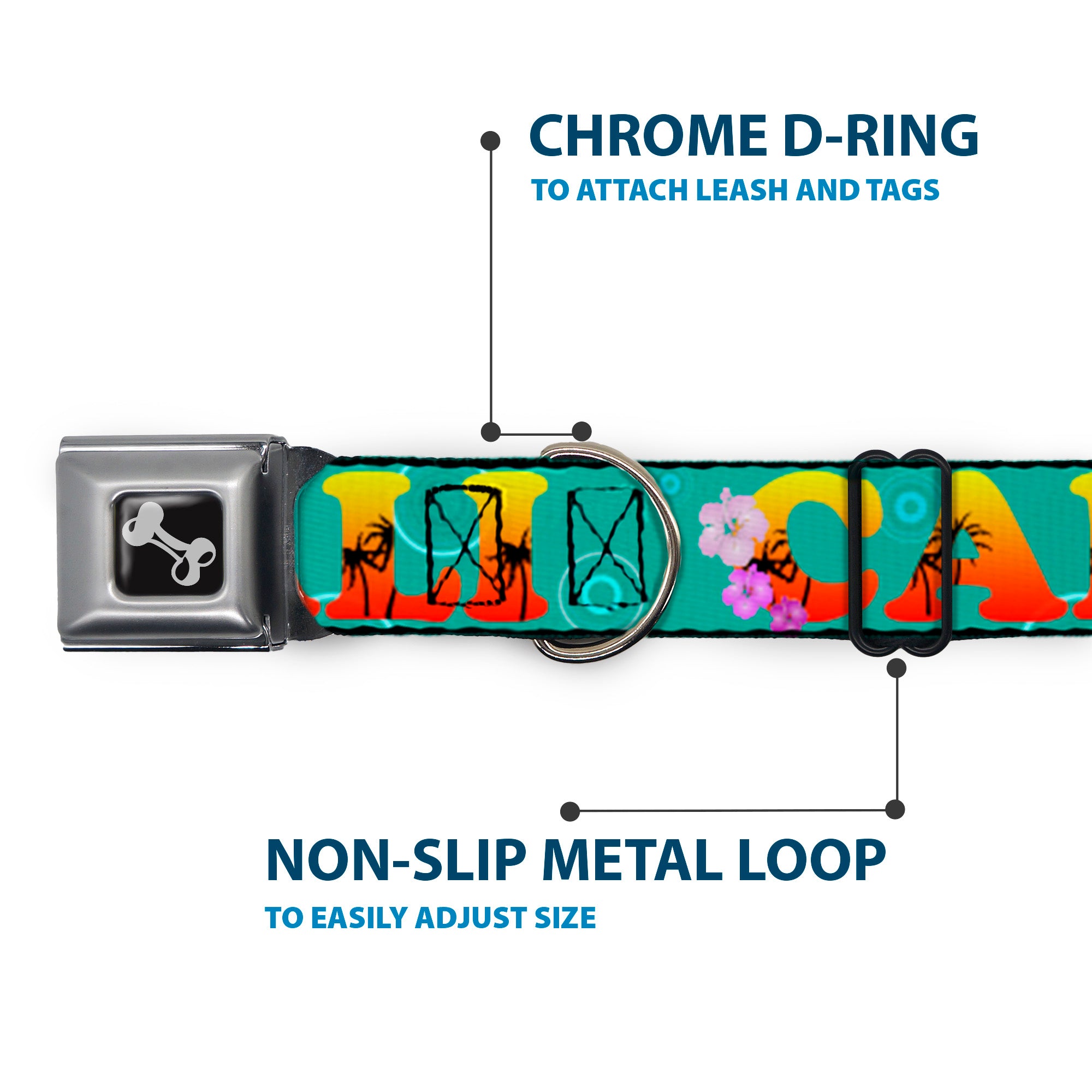 Dog Bone Seatbelt Buckle Collar - CALI Tropical Aqua/Multi Color Seatbelt Buckle Collars Buckle-Down