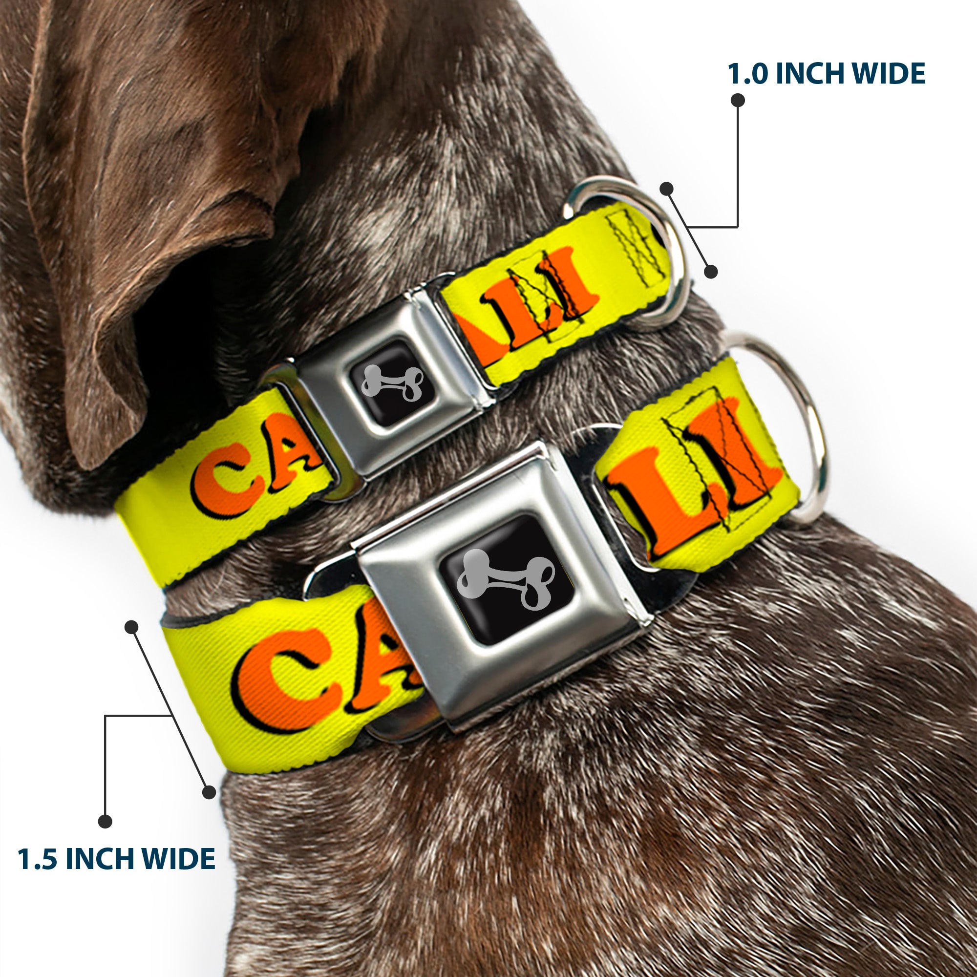 Dog Bone Seatbelt Buckle Collar - CALI Yellow/Orange Seatbelt Buckle Collars Buckle-Down