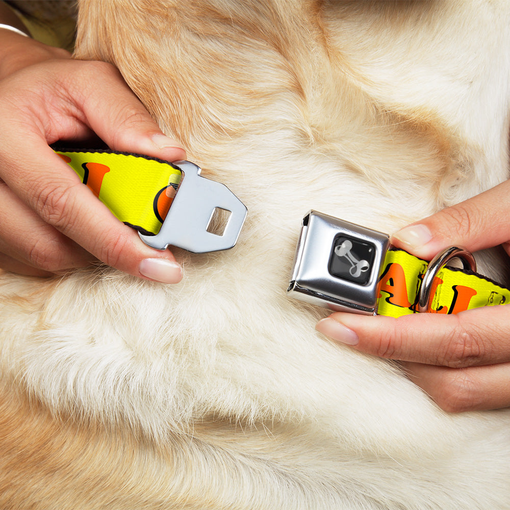 Dog Bone Seatbelt Buckle Collar - CALI Yellow/Orange Seatbelt Buckle Collars Buckle-Down