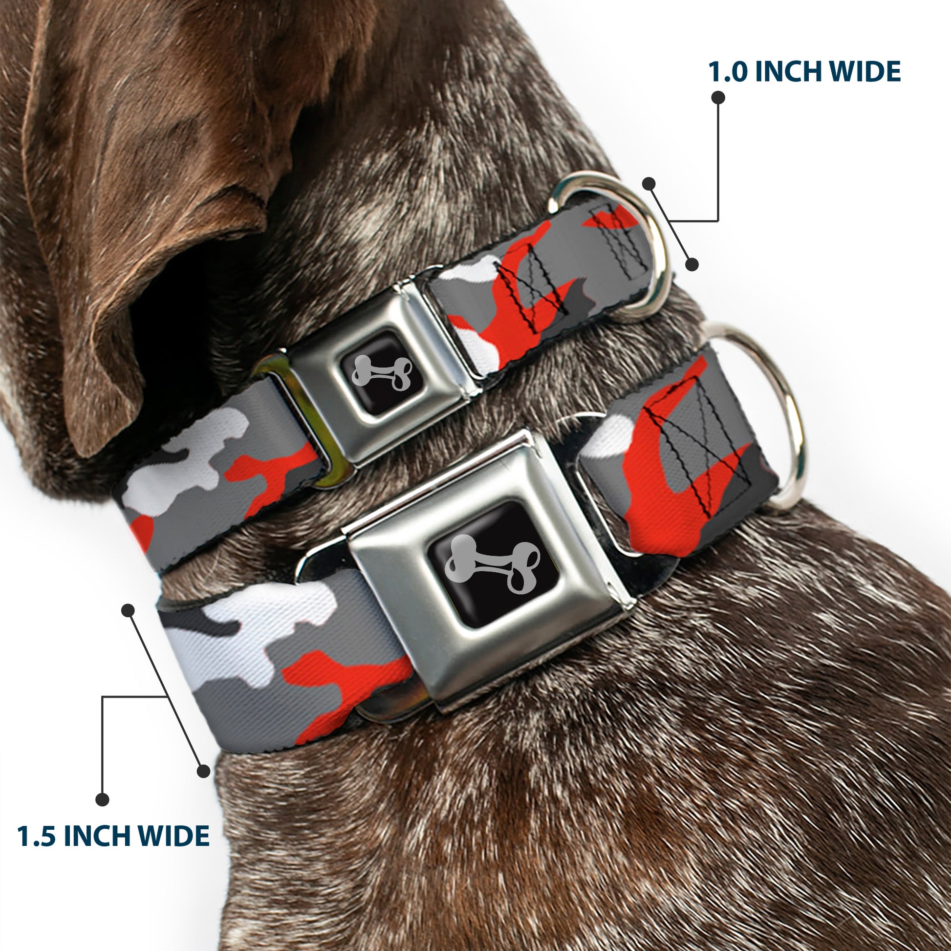 Dog Bone Seatbelt Buckle Collar - Camo Orange Seatbelt Buckle Collars Buckle-Down