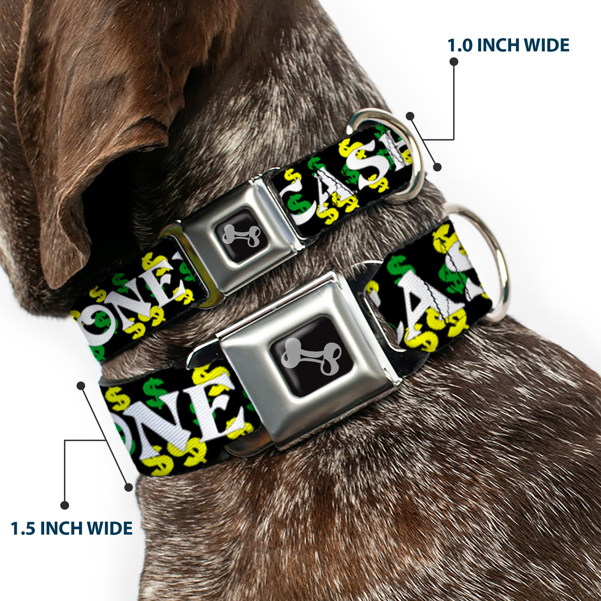 Dog Bone Seatbelt Buckle Collar - CASH MONEY w/$$$ Black/White/Yellow/Green Seatbelt Buckle Collars Buckle-Down