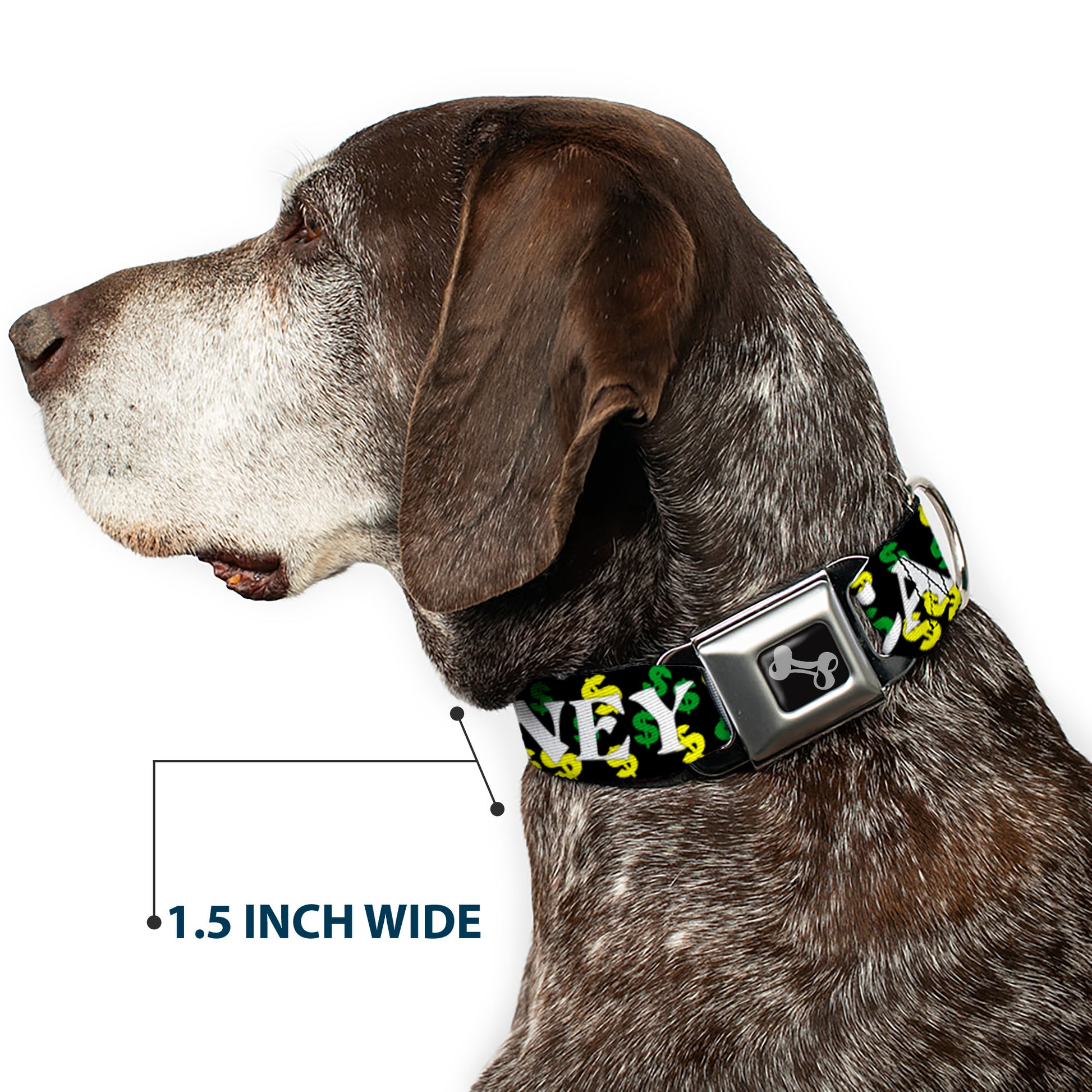 Dog Bone Seatbelt Buckle Collar - CASH MONEY w/$$$ Black/White/Yellow/Green Seatbelt Buckle Collars Buckle-Down