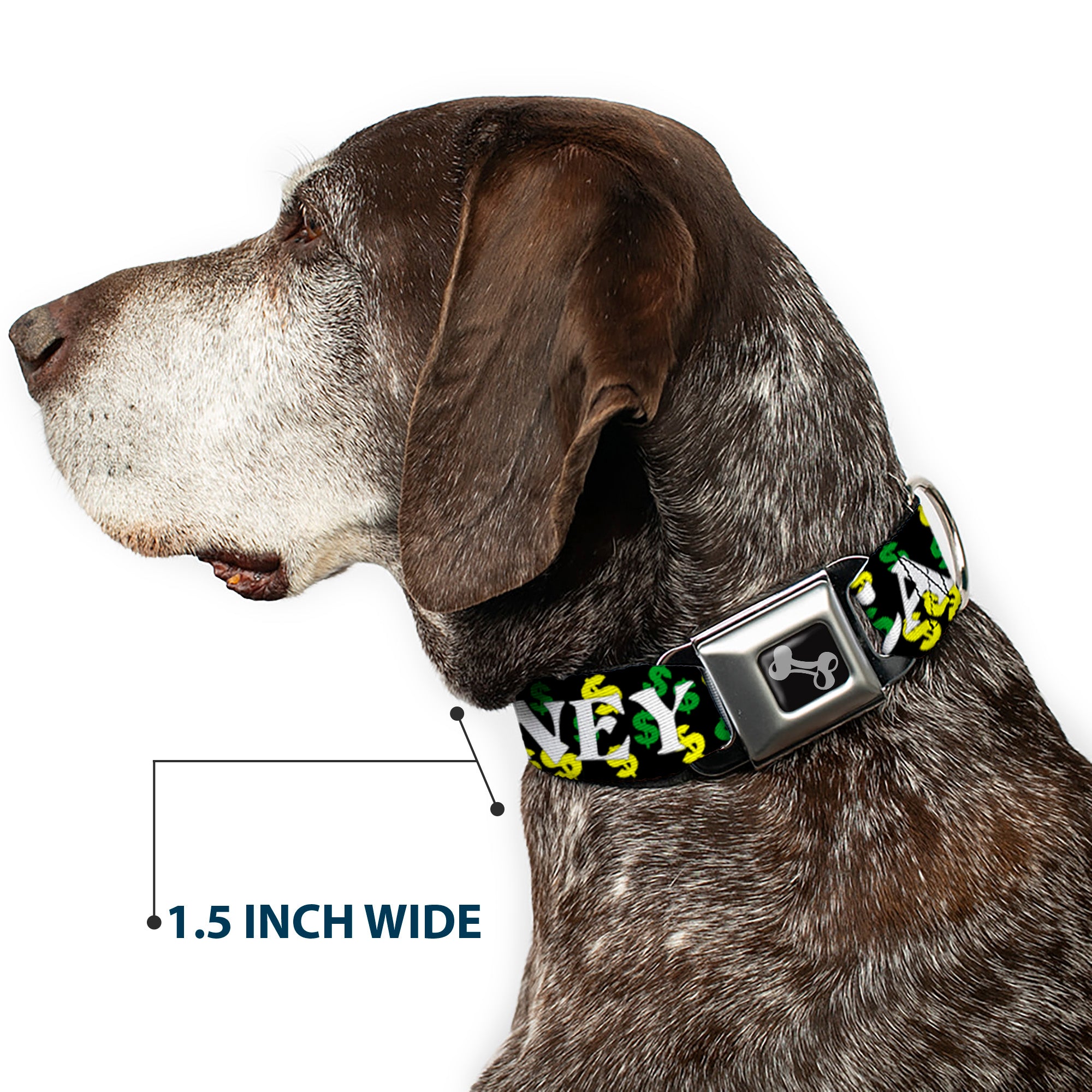 Dog Bone Seatbelt Buckle Collar - CASH MONEY w/$$$ Black/White/Yellow/Green Seatbelt Buckle Collars Buckle-Down