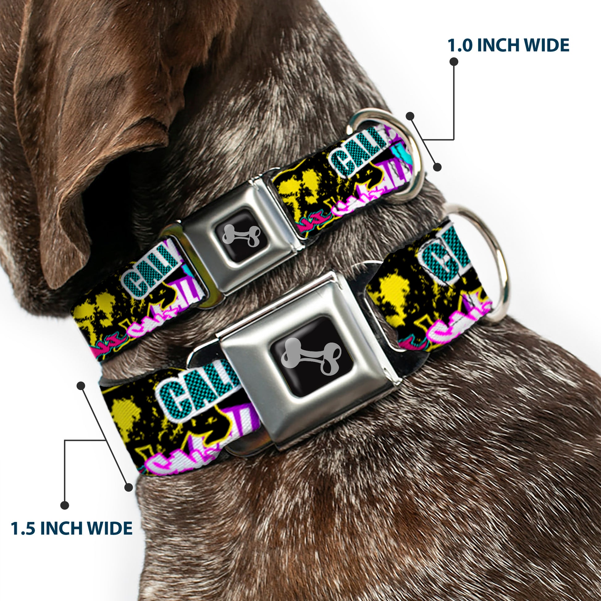 Dog Bone Seatbelt Buckle Collar - Cali Bear/CALI Graffiti/Pot Leaves Black/Multi Color Seatbelt Buckle Collars Buckle-Down