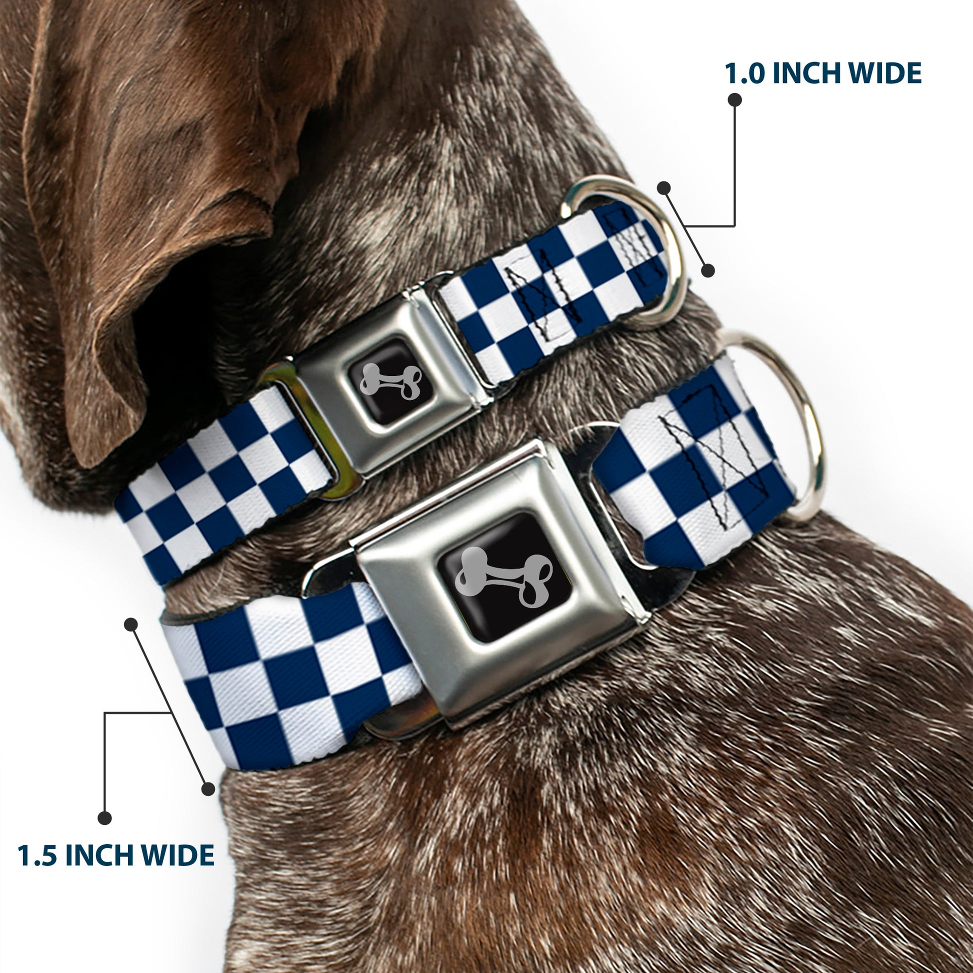 Dog Bone Seatbelt Buckle Collar - Checker Sapphire Blue/White Seatbelt Buckle Collars Buckle-Down