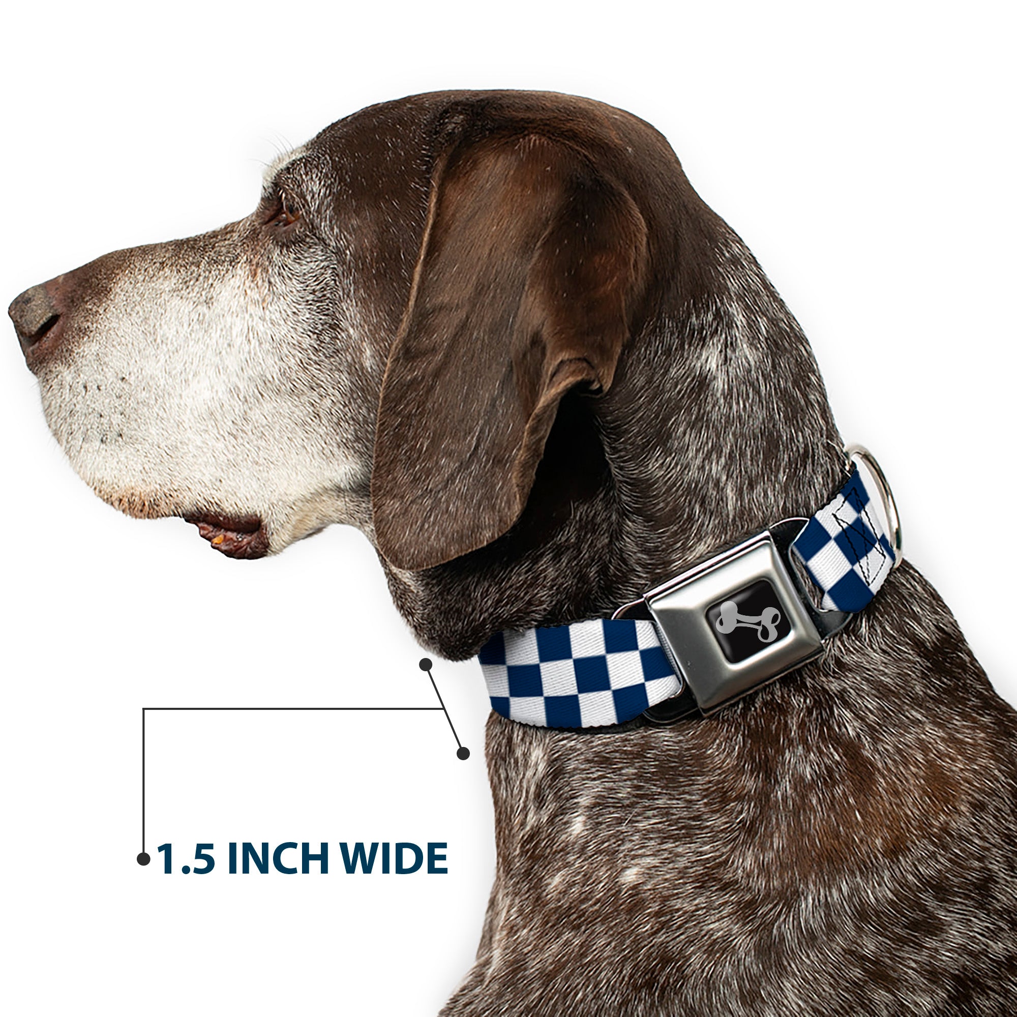 Dog Bone Seatbelt Buckle Collar - Checker Sapphire Blue/White Seatbelt Buckle Collars Buckle-Down