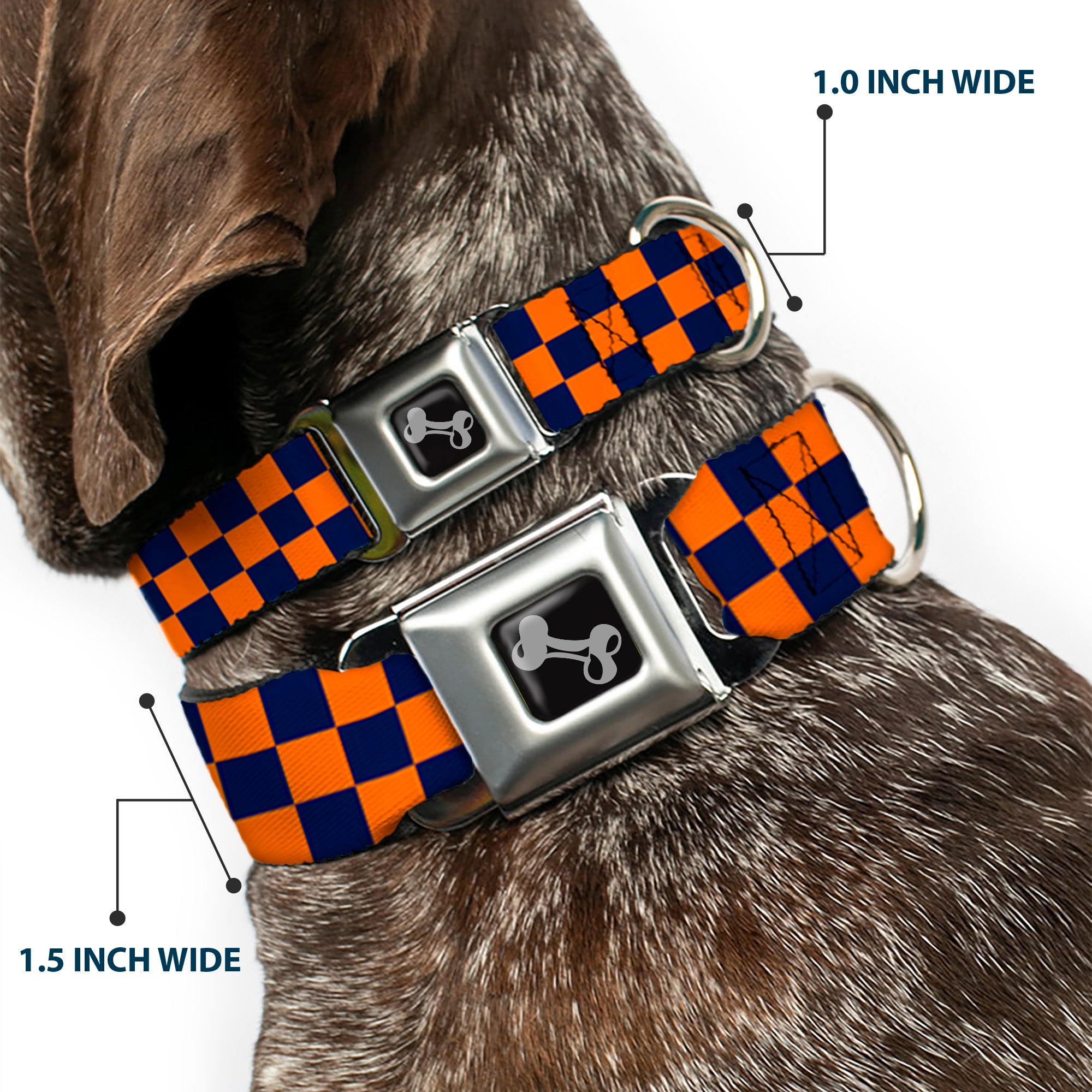 Dog Bone Seatbelt Buckle Collar - Checker Orange/Dark Blue Seatbelt Buckle Collars Buckle-Down