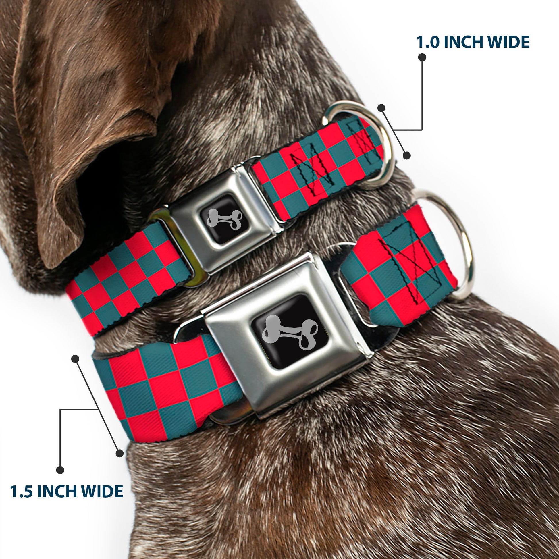 Dog Bone Seatbelt Buckle Collar - Checker Crimson Red/Gray Seatbelt Buckle Collars Buckle-Down