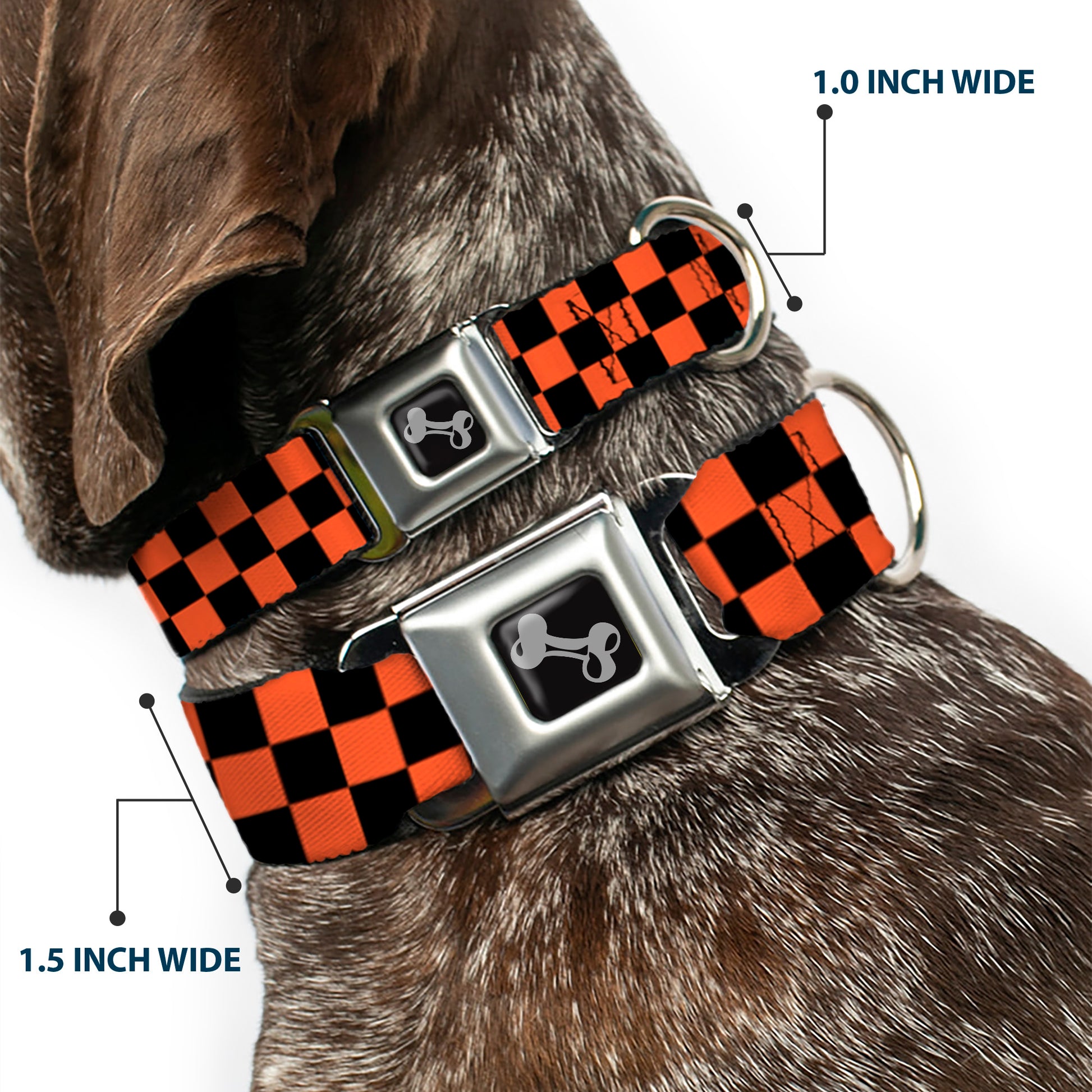 Dog Bone Seatbelt Buckle Collar - Checker Black/Orange Seatbelt Buckle Collars Buckle-Down