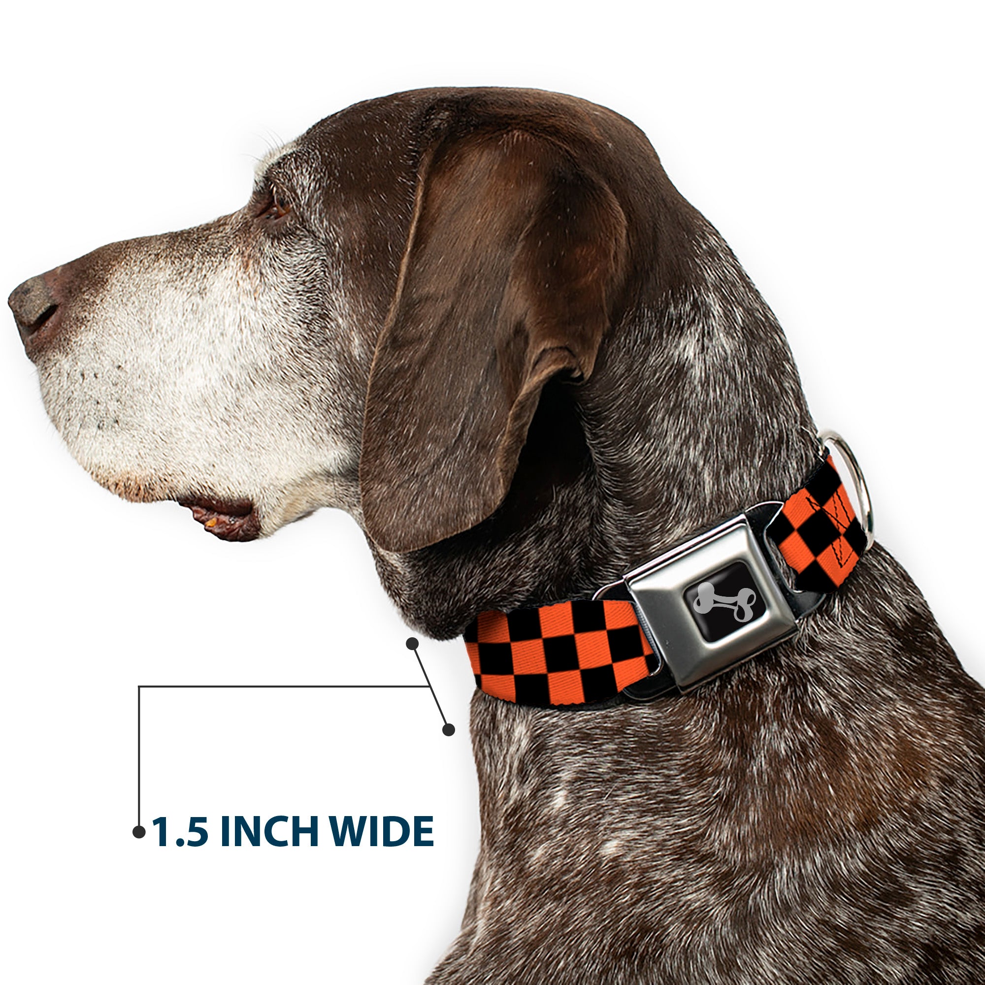 Dog Bone Seatbelt Buckle Collar - Checker Black/Orange Seatbelt Buckle Collars Buckle-Down