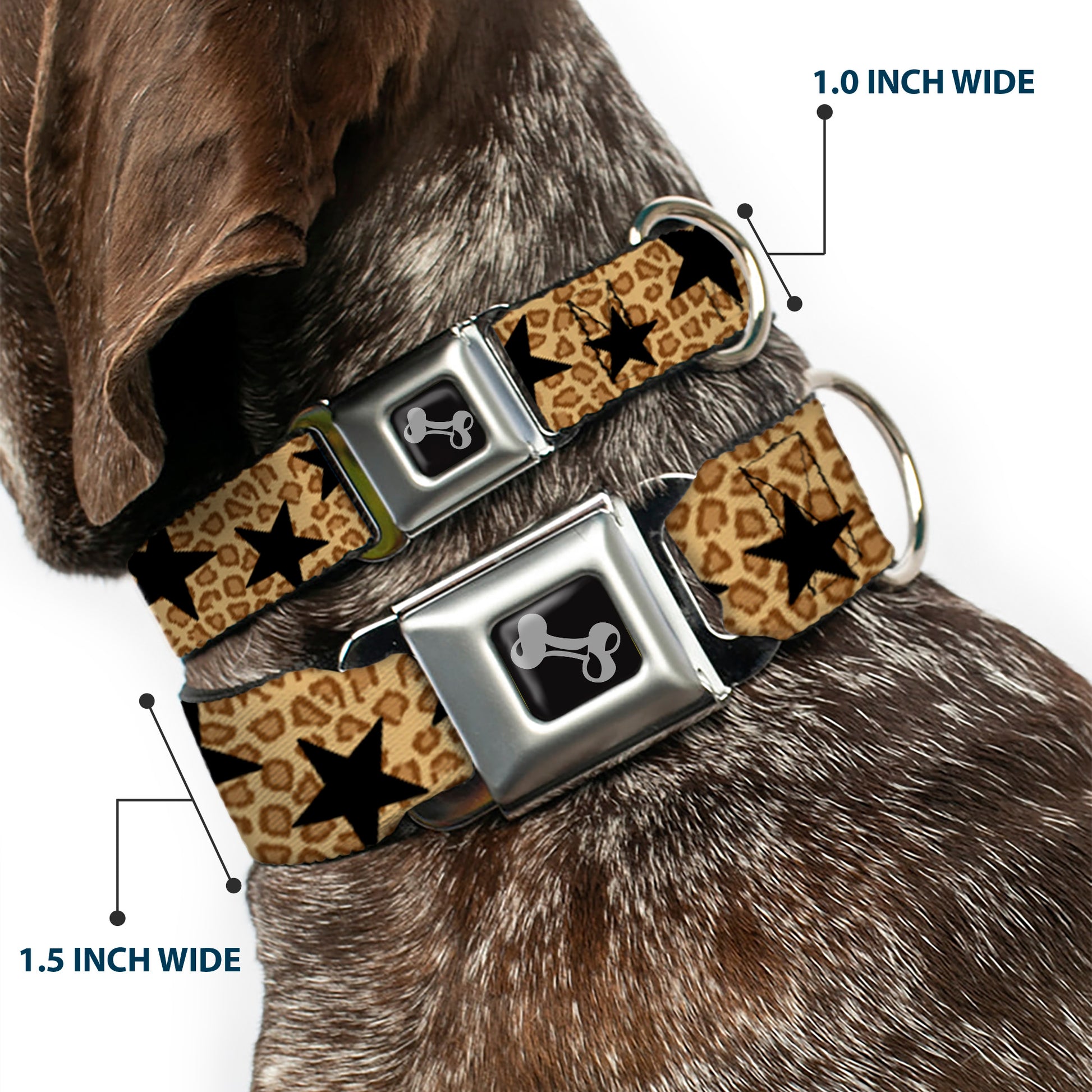Dog Bone Seatbelt Buckle Collar - Cheetah/Stars Tan/Black Seatbelt Buckle Collars Buckle-Down