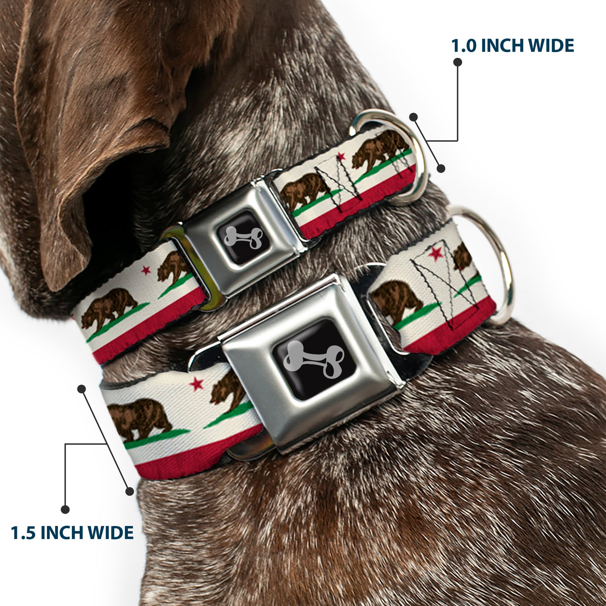 Dog Bone Seatbelt Buckle Collar - California Flag Bear Weathered White Seatbelt Buckle Collars Buckle-Down