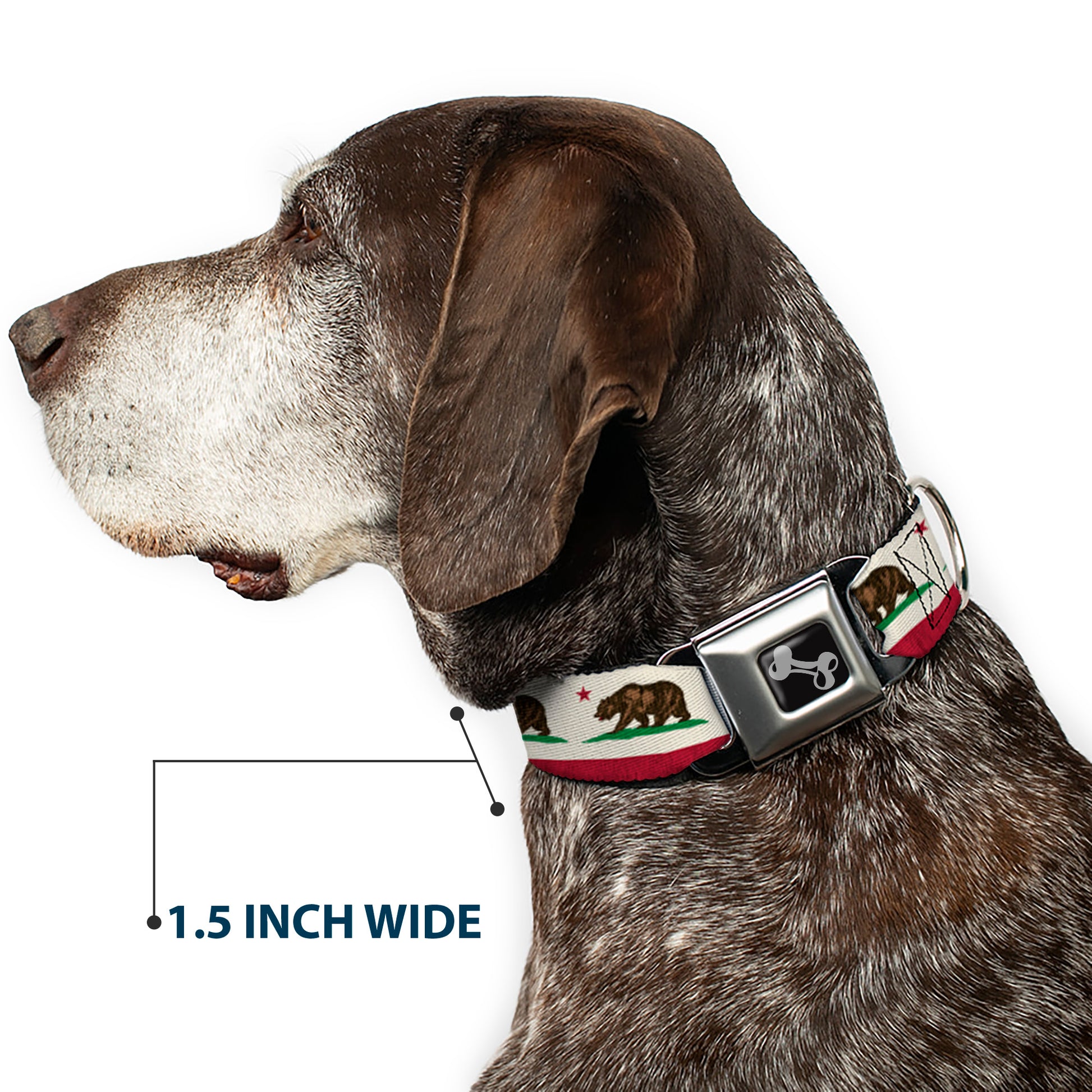 Dog Bone Seatbelt Buckle Collar - California Flag Bear Weathered White Seatbelt Buckle Collars Buckle-Down