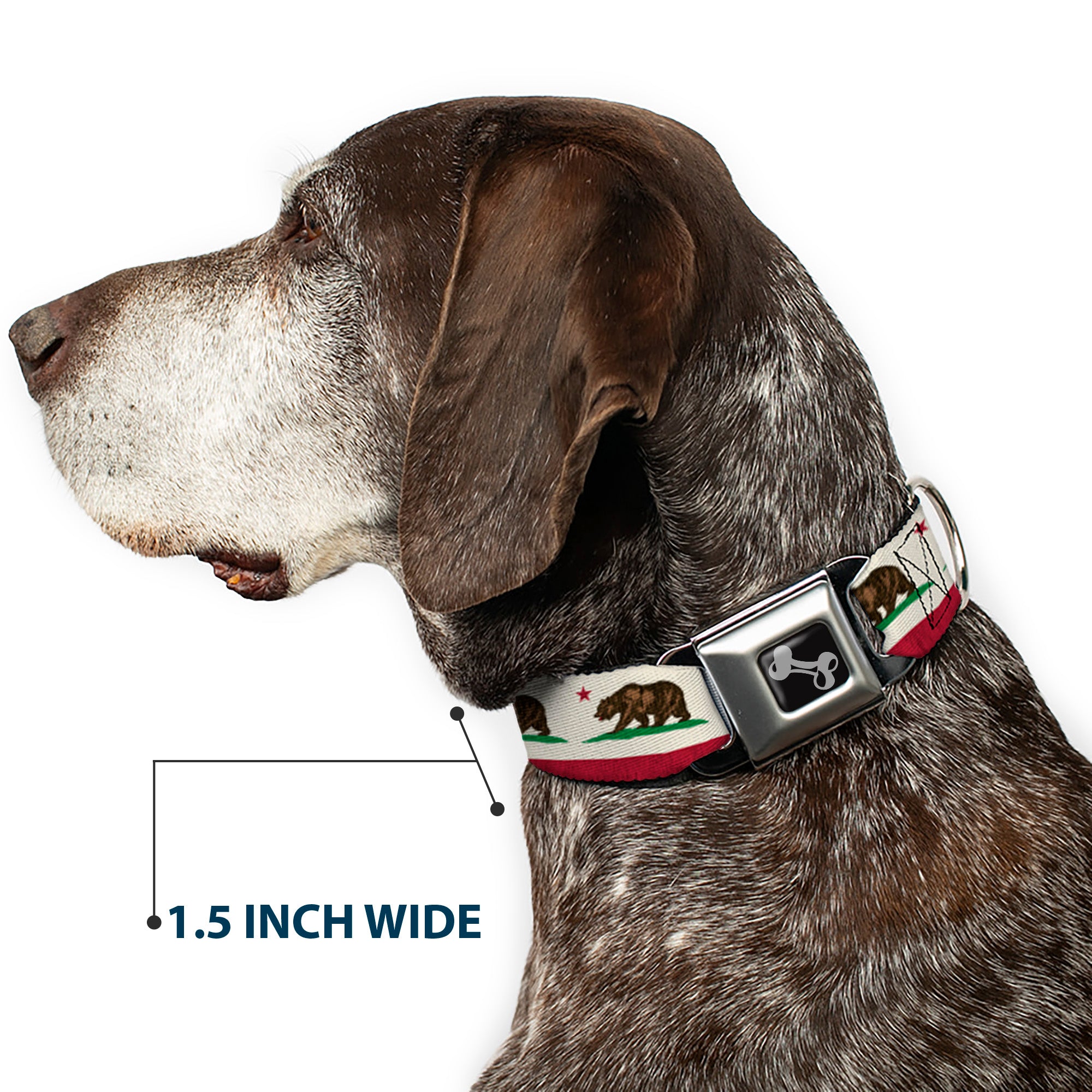 Dog Bone Seatbelt Buckle Collar - California Flag Bear Weathered White Seatbelt Buckle Collars Buckle-Down