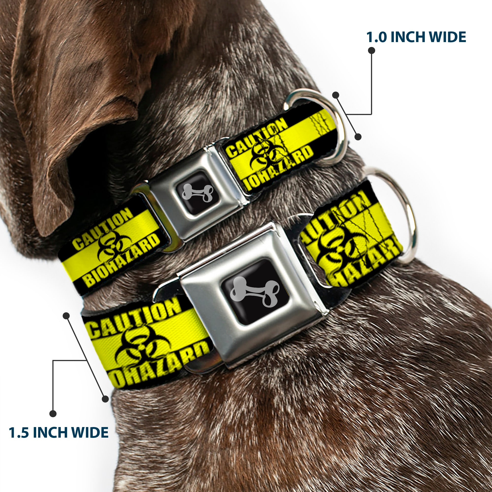 Dog Bone Seatbelt Buckle Collar - CAUTION BIOHAZARD Black/Yellow Seatbelt Buckle Collars Buckle-Down