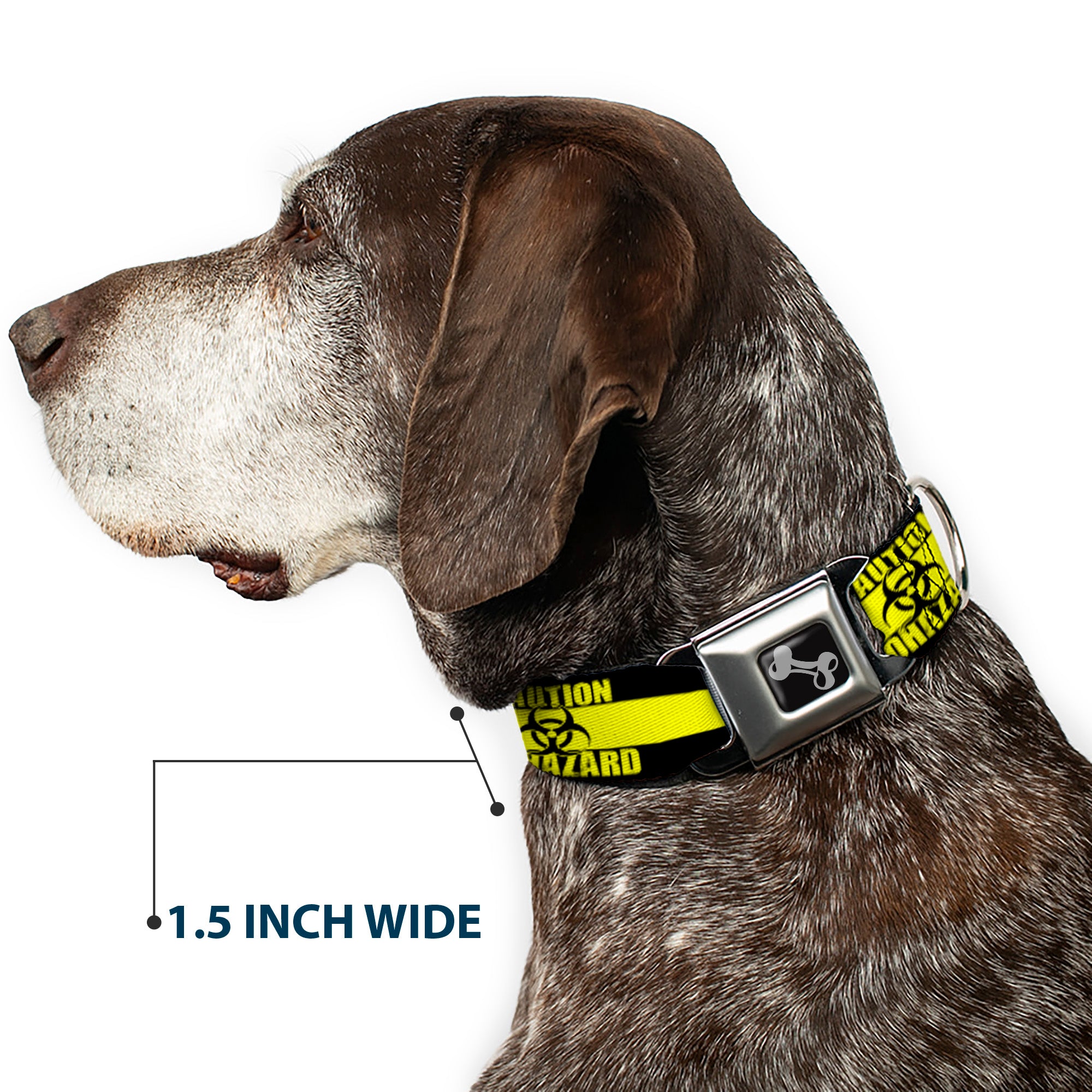 Dog Bone Seatbelt Buckle Collar - CAUTION BIOHAZARD Black/Yellow Seatbelt Buckle Collars Buckle-Down