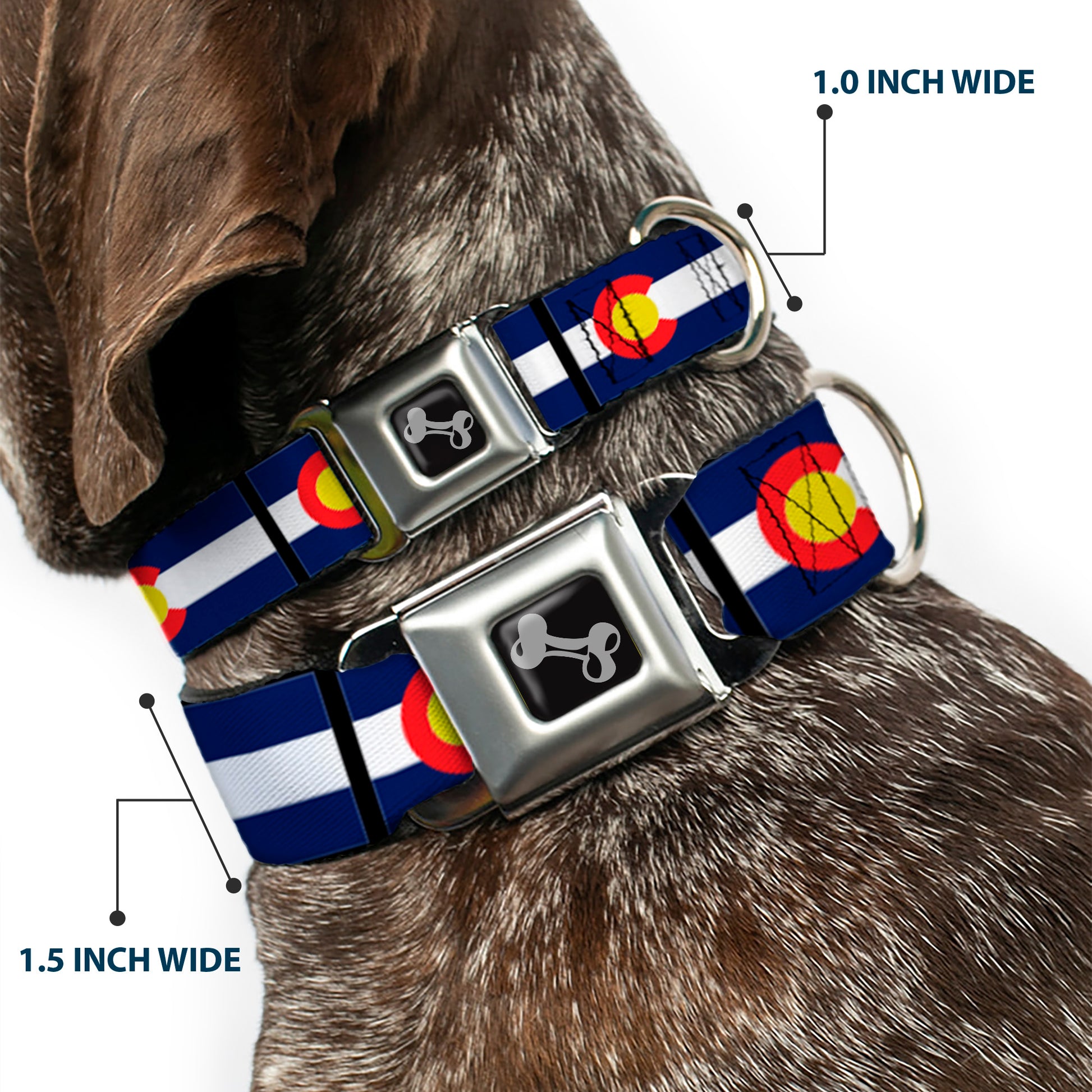 Dog Bone Seatbelt Buckle Collar - Colorado Flags Seatbelt Buckle Collars Buckle-Down
