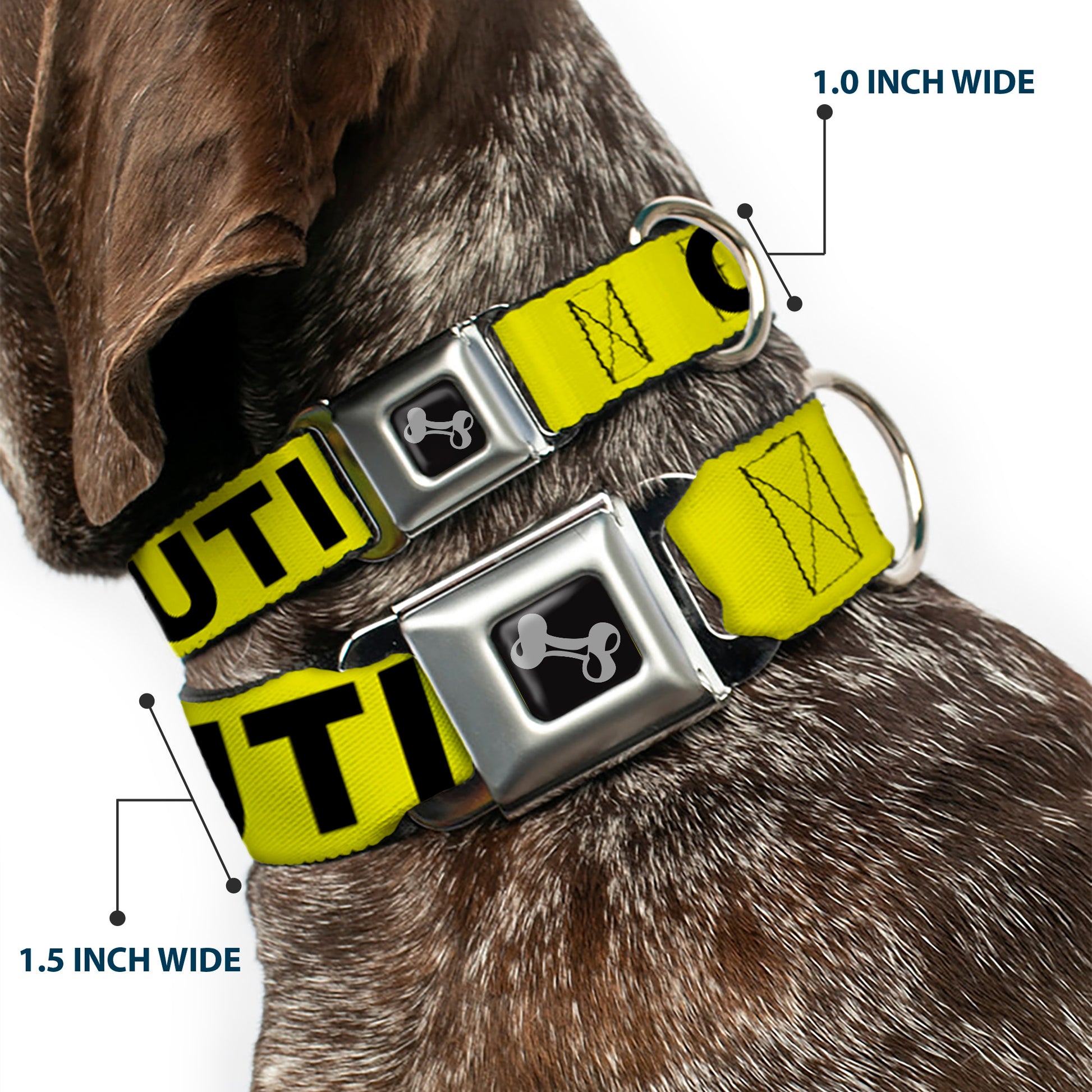 Dog Bone Seatbelt Buckle Collar - CAUTION Yellow/Black Seatbelt Buckle Collars Buckle-Down