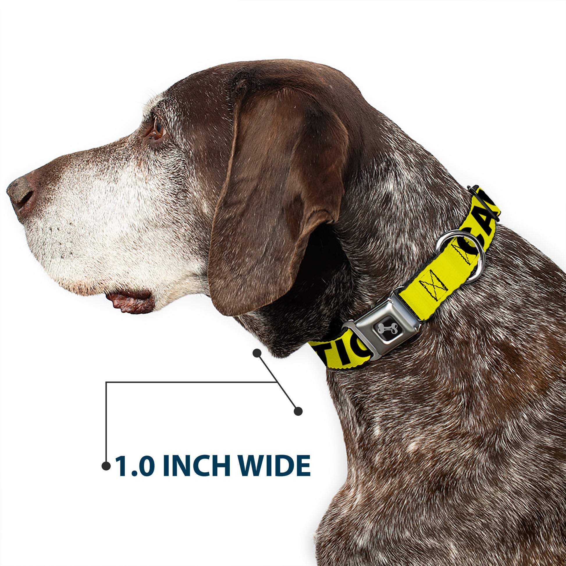 Dog Bone Seatbelt Buckle Collar - CAUTION Yellow/Black Seatbelt Buckle Collars Buckle-Down