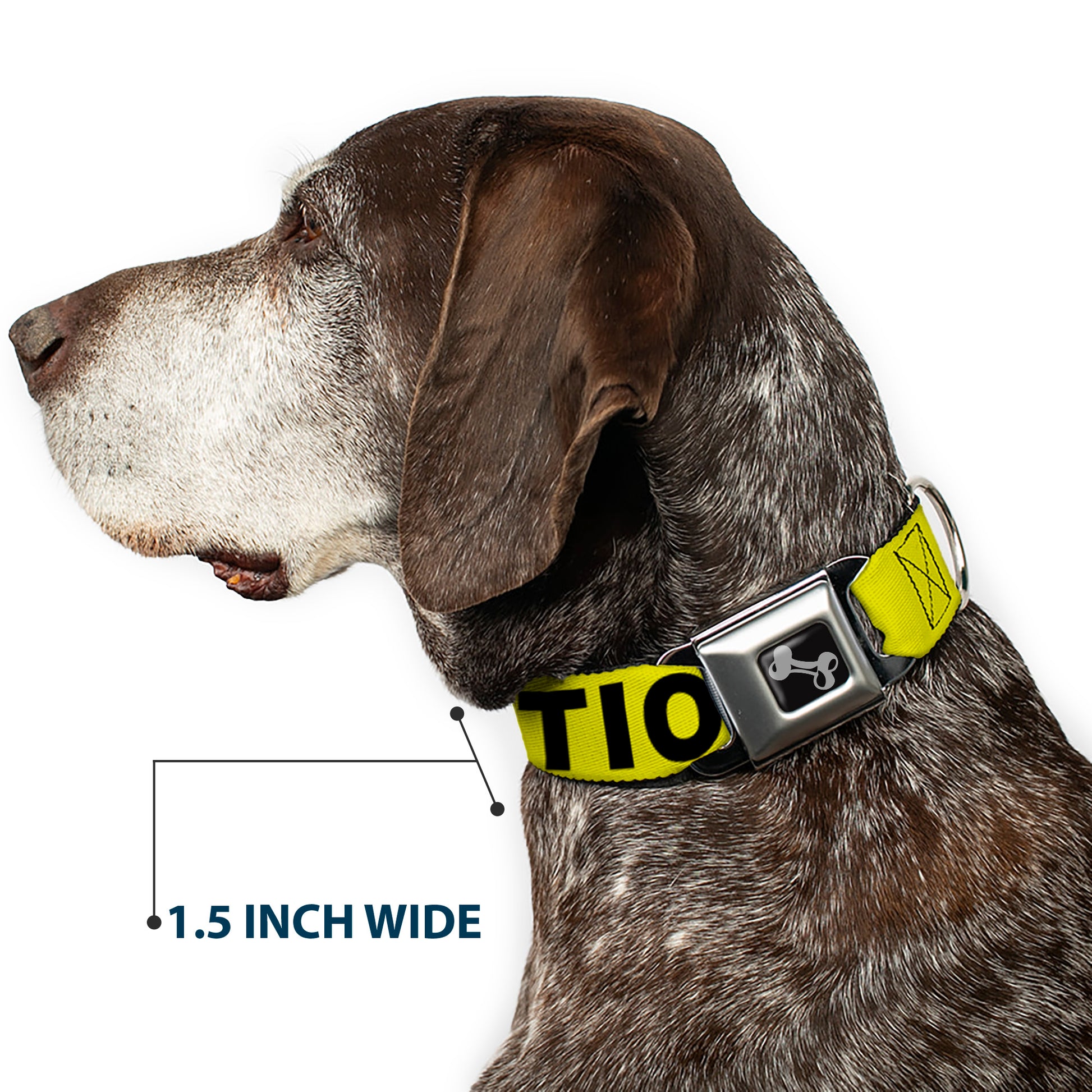 Dog Bone Seatbelt Buckle Collar - CAUTION Yellow/Black Seatbelt Buckle Collars Buckle-Down