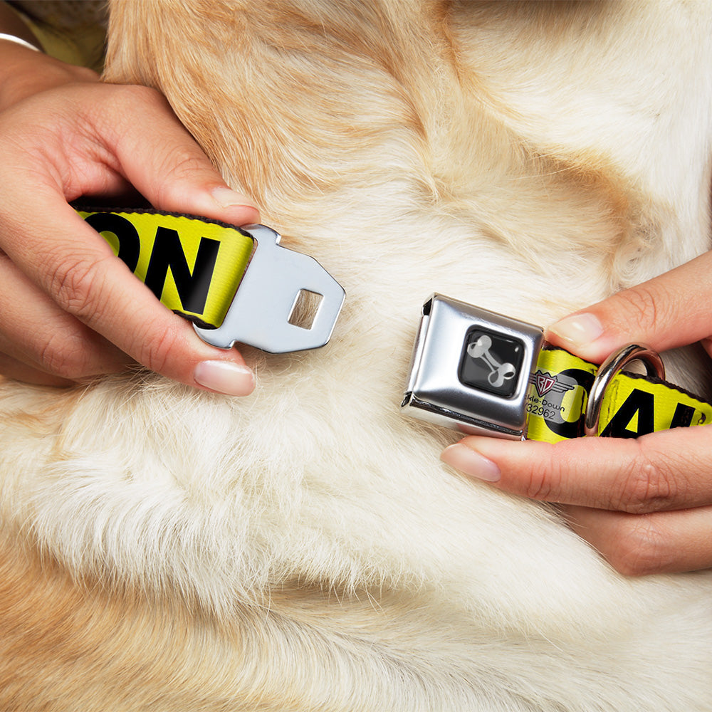 Dog Bone Seatbelt Buckle Collar - CAUTION Yellow/Black Seatbelt Buckle Collars Buckle-Down