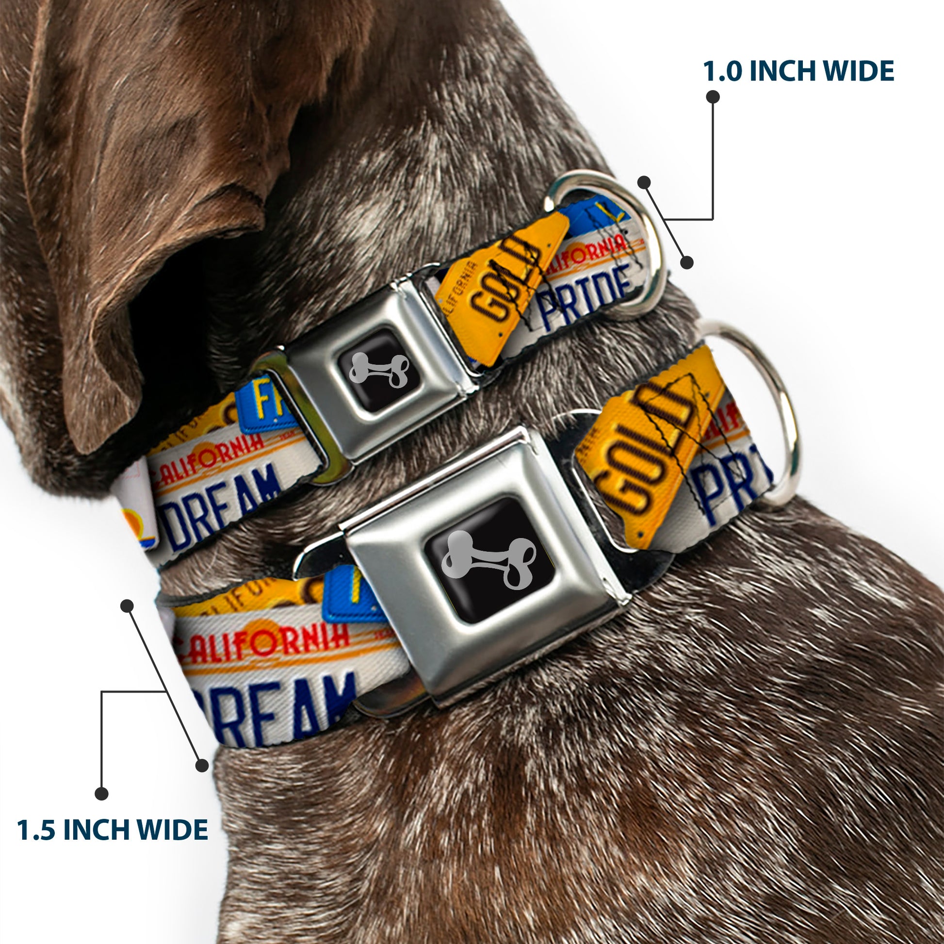 Dog Bone Seatbelt Buckle Collar - Cali License Plates Stacked Seatbelt Buckle Collars Buckle-Down