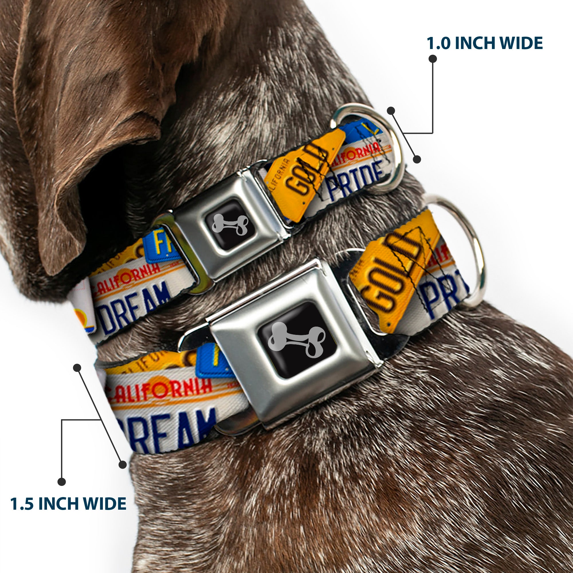 Dog Bone Seatbelt Buckle Collar - Cali License Plates Stacked Seatbelt Buckle Collars Buckle-Down