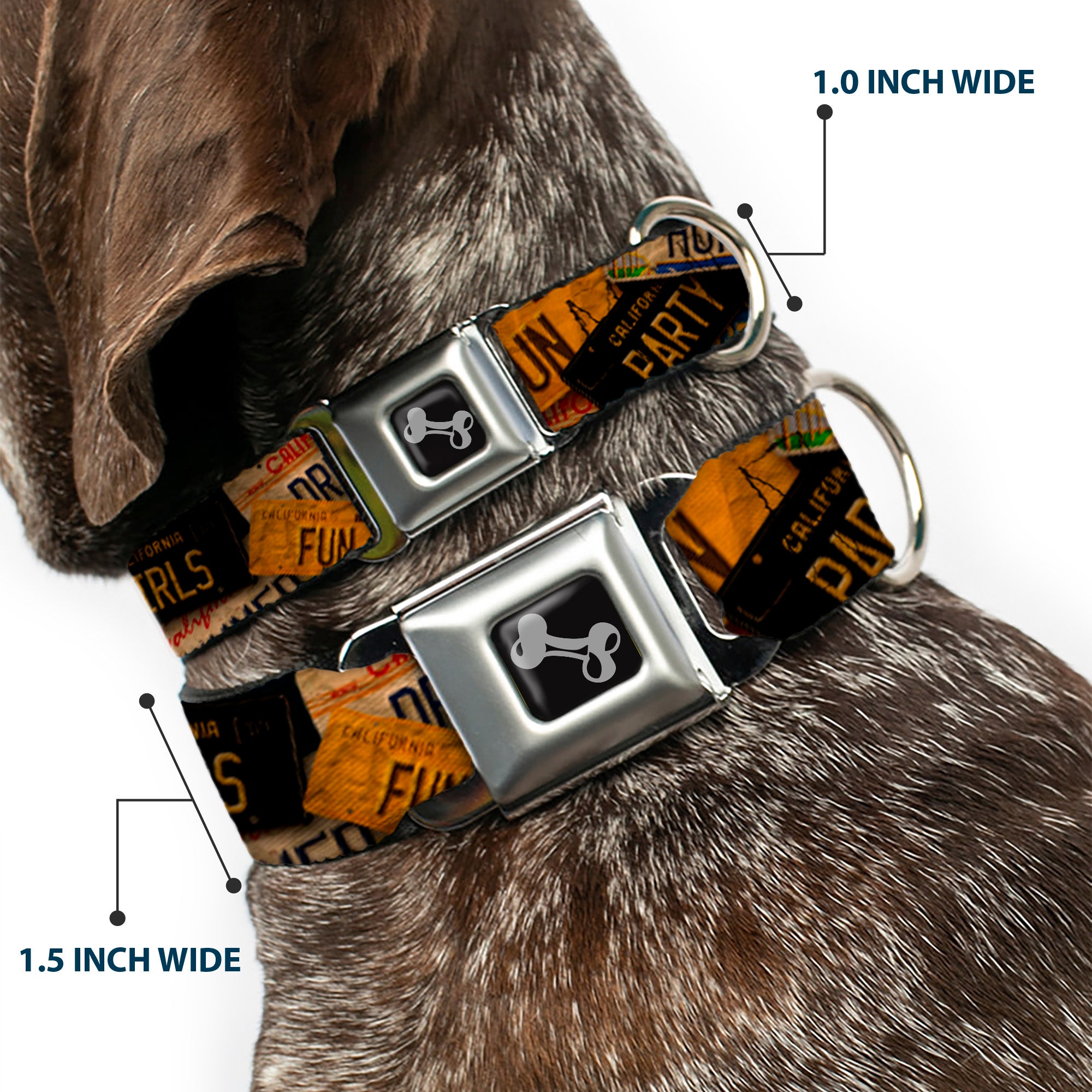 Dog Bone Seatbelt Buckle Collar - Cali License Plates Stacked Vintage Seatbelt Buckle Collars Buckle-Down