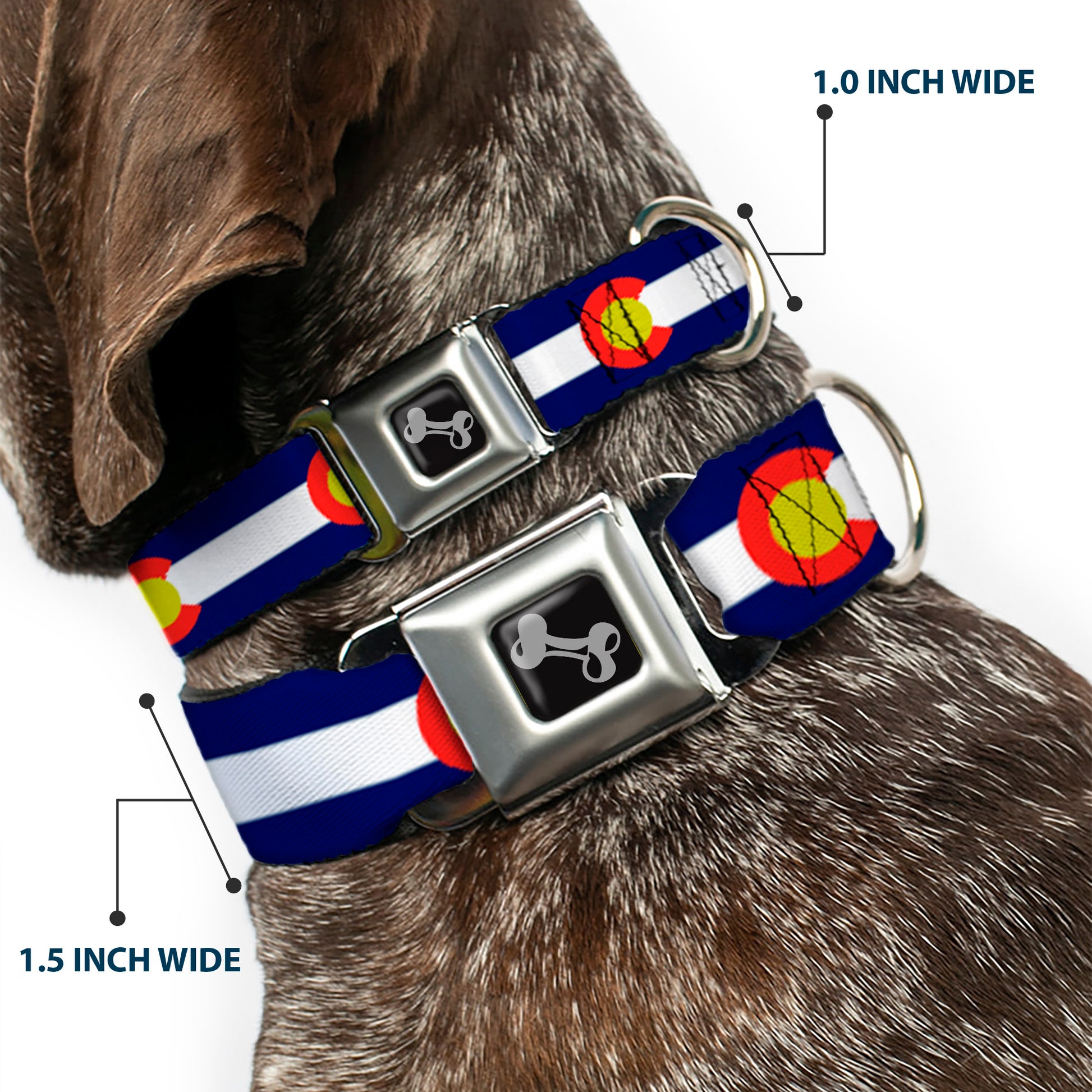 Dog Bone Seatbelt Buckle Collar - Colorado Flags2 Repeat Seatbelt Buckle Collars Buckle-Down